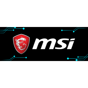MSI
