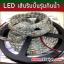 LED เส้น Strip สีเดียว รุ่นกันน้ำ