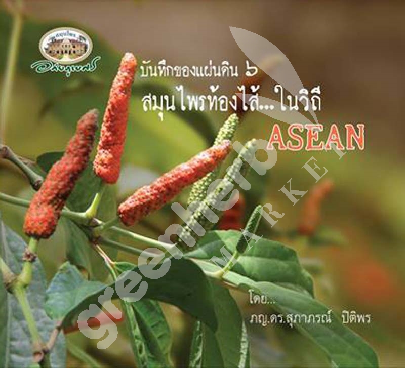 หนังสือ บันทึกของแผ่นดิน ๖ สมุนไพรท้องไส้ ในวิถี ASEAN อภัยภูเบศร (สินค้า Pre-order จัดส่งภายใน 7-10วัน)