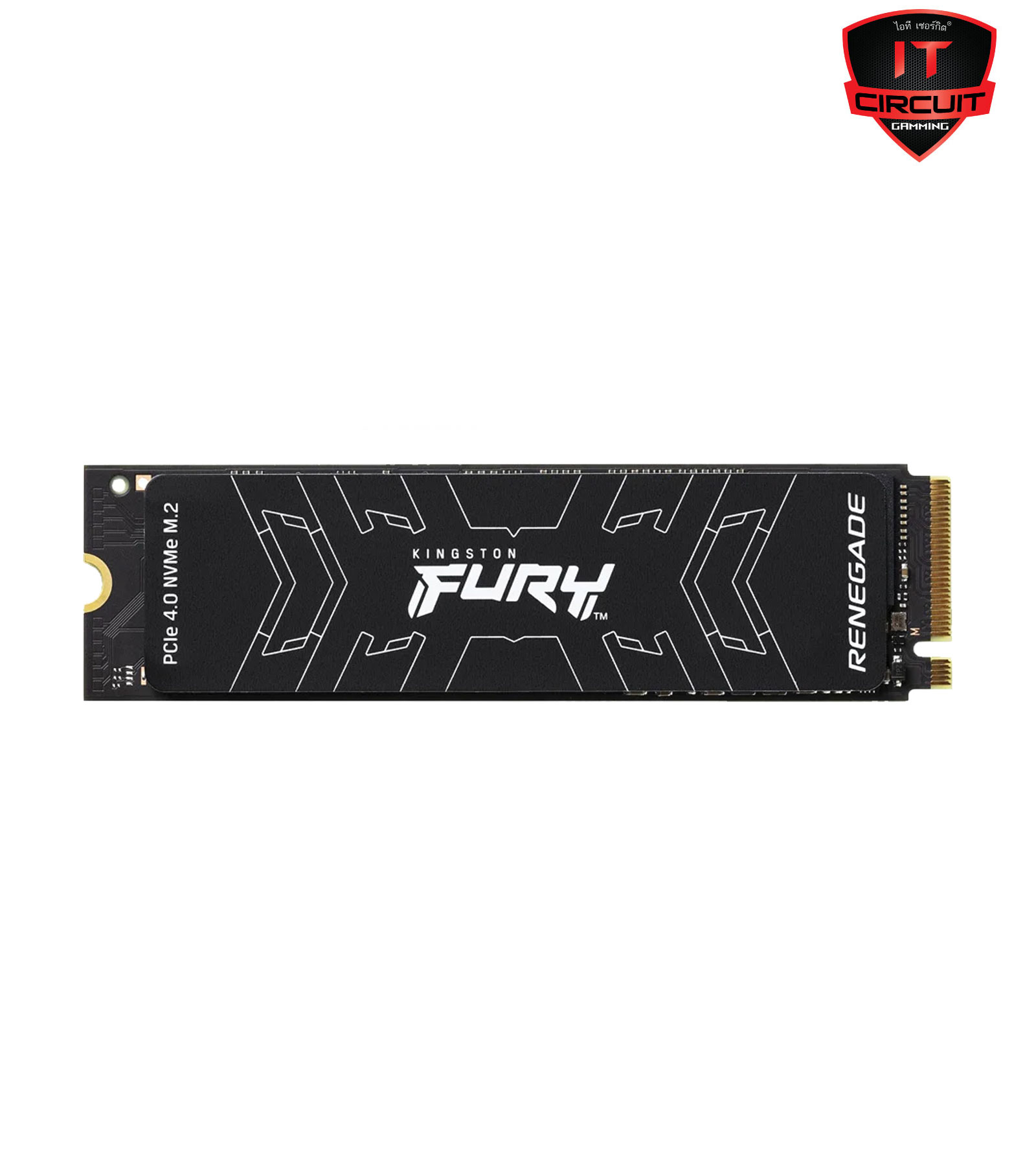 SSD (เอสเอสดี) KINGSTON FURY RENEGADE - PCIe 4x4/NVMe M.2 2280 (SFYRS/500G)
