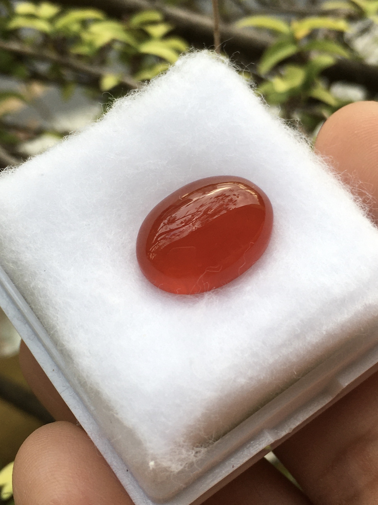 RED AGATE โมราแดง 8.8 กะรัตหินแท้เนื้อเนียนสวย สีสดฉ่ำ