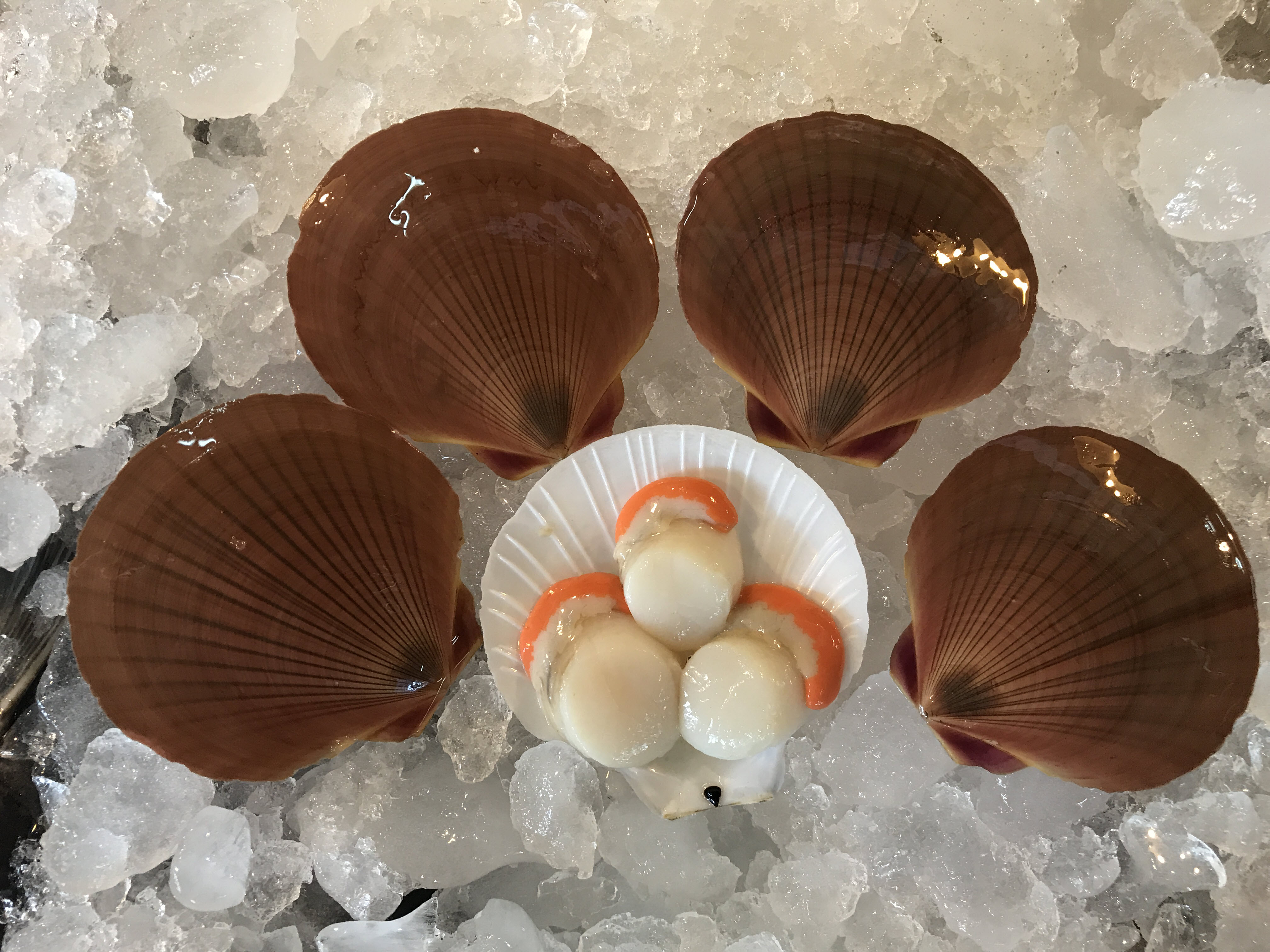 เนื้อหอยเชลล์ (ขนาด 50-70 ตัว/1กิโล)