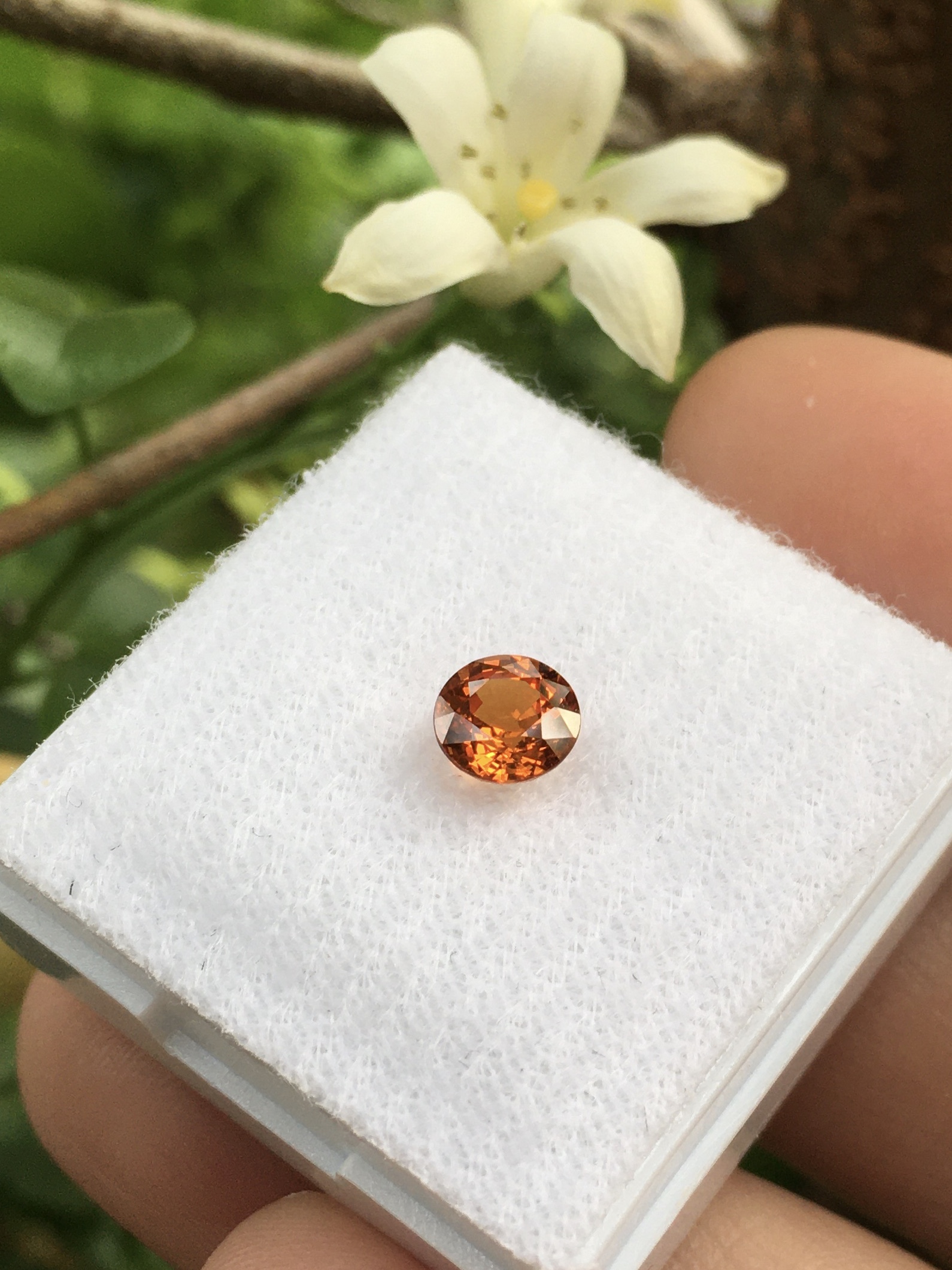 SPESSARTITE สเปซซาไทต์แท้ 0.80 กะรัต พลอยดิบ ธรรมชาติ เนื้อสะอาดใส ไฟดีม๊ากกก สีส้มสดสวย