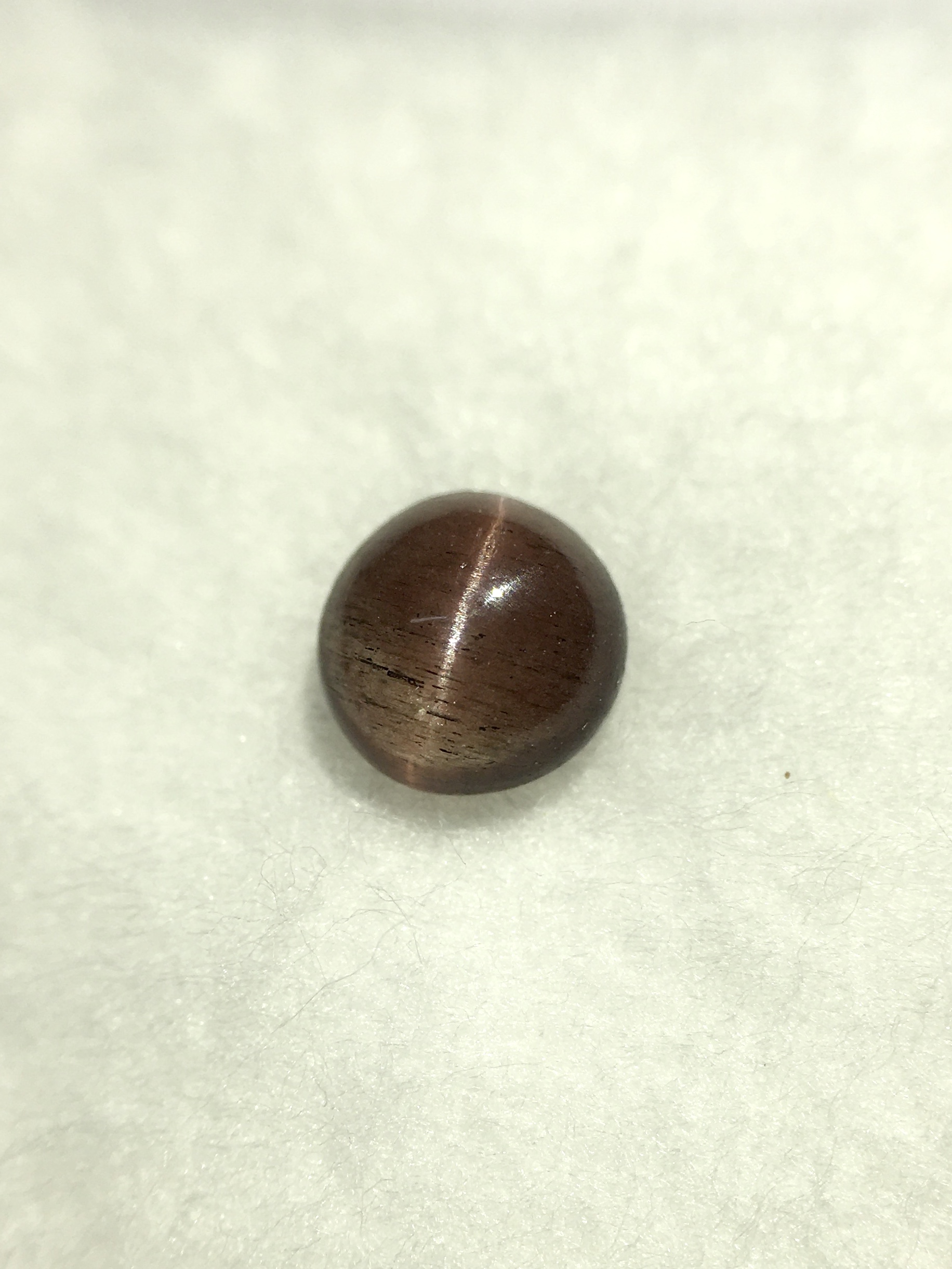 CAT’S EYE SCAPOLITE พลอยตาแมว 0.49 กะรัต พลอยแท้ตาแมวสวยคม สว่าง ไซส์เล็กๆน่ารัก มินิมอลมินิใจ