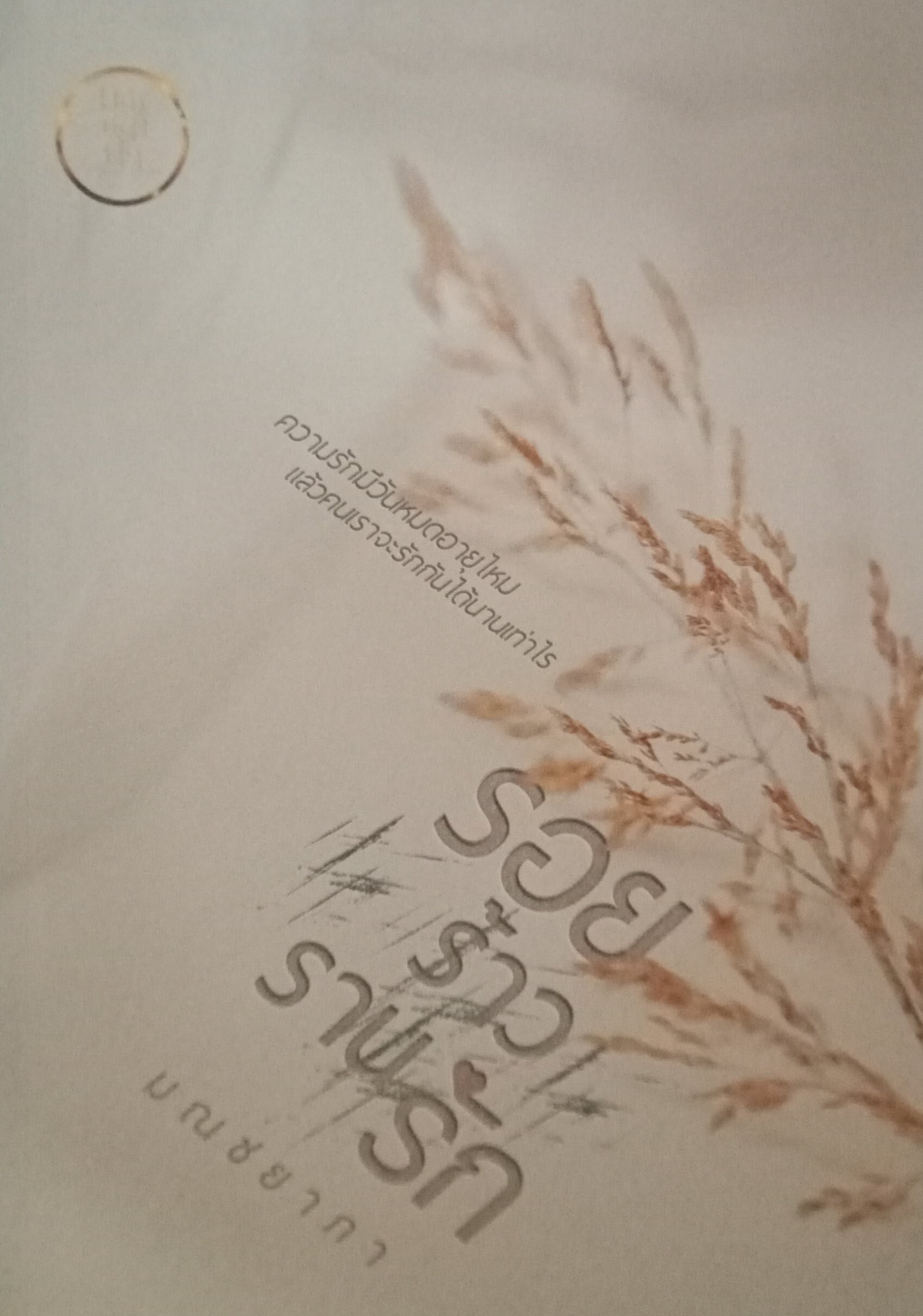 รอยร้าวรานรัก / มณชยาภา (คุณหญิงร่ำรวยมหาศาล) / หนังสือทำมือ / ปก 399 บาท