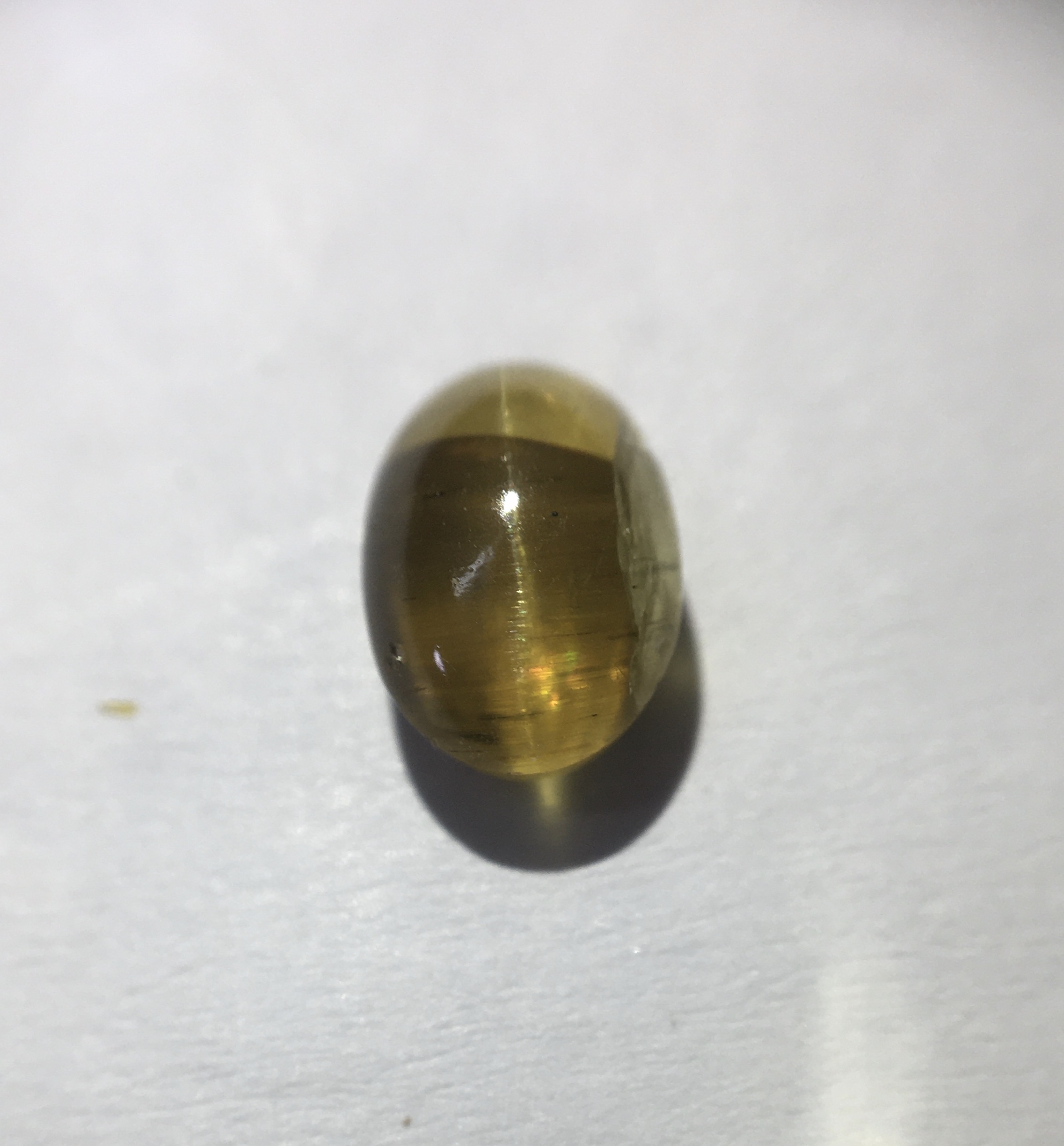 (พลอยแท้ ไซส์มินิ เริ่มต้น 129 บาท) ลาพิซ ทับทิม ไคยาไนต์ อเมทิสต์ ตาแมว บลูโทพาซ แวะดูแวะชมกันเลยจ้า