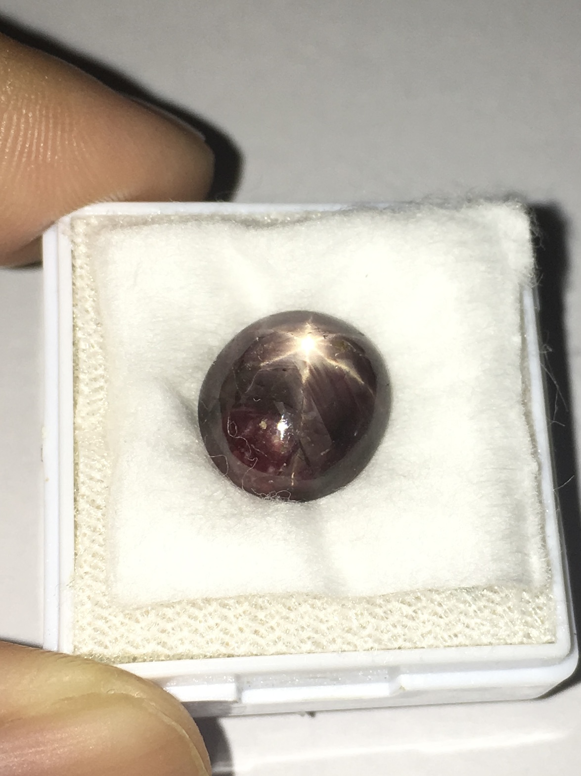 STAR RUBY ทับทิมสตาร์แท้ 7 กะรัต สีแดงโทนเข้ม หน้าสว่าง ขาชัดสวย เม็ดใหญ่สวย