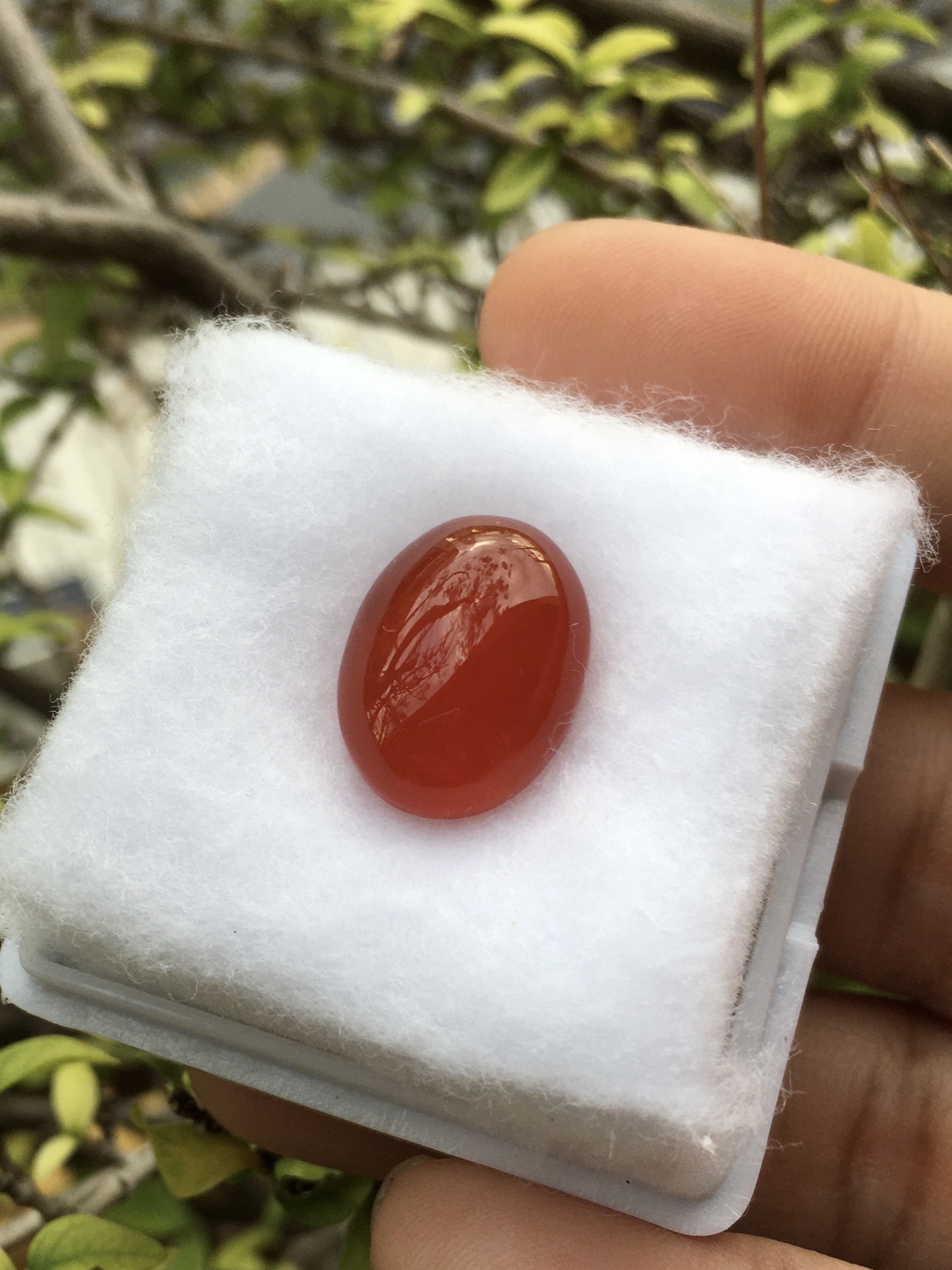 RED AGATE โมราแดง 8.8 กะรัตหินแท้เนื้อเนียนสวย สีสดฉ่ำ
