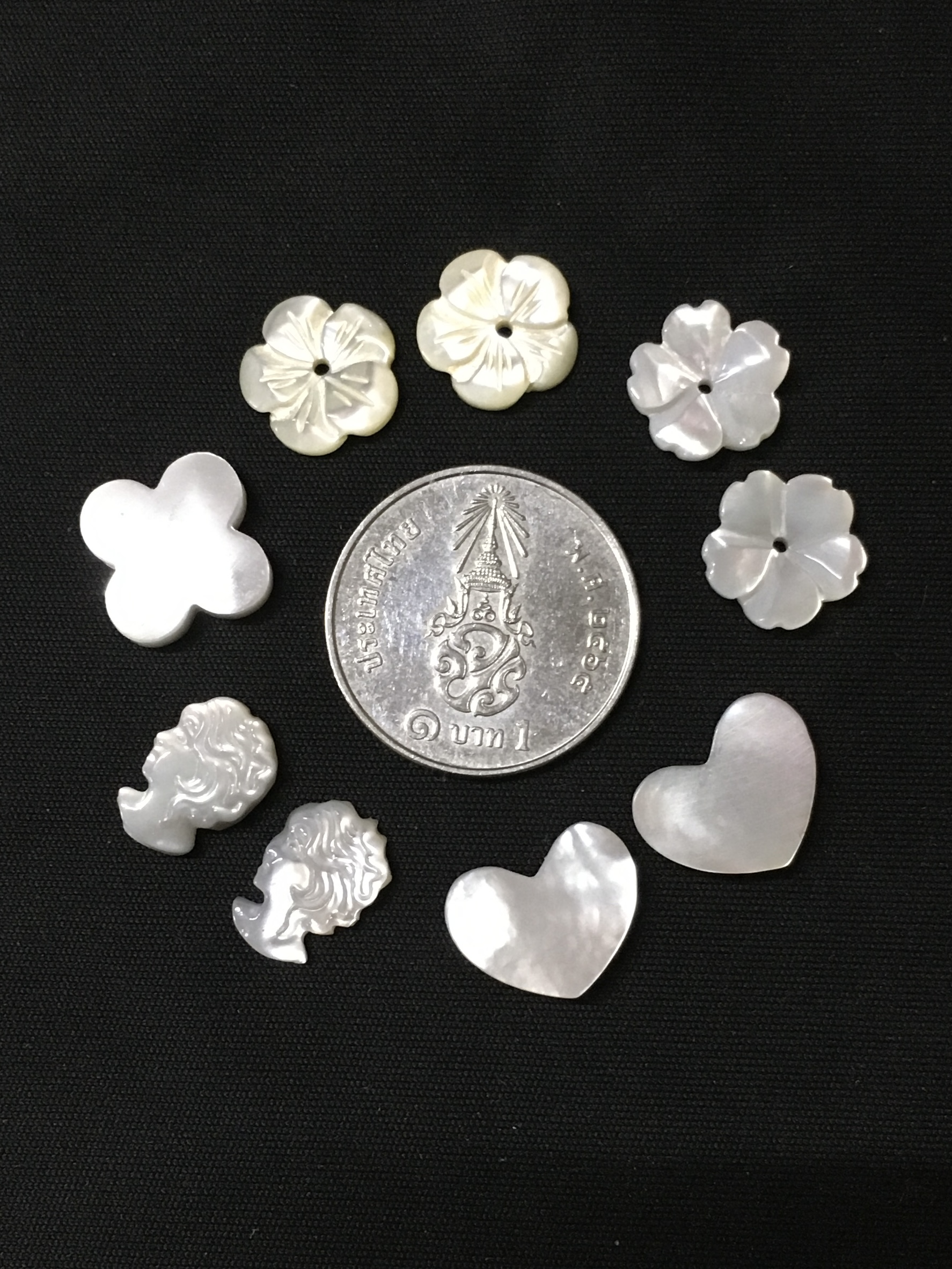 (199 ทุกเซต ) เปลือกหอยมุก คละเชฟ เนื้อขาว เหลือบรุ้งสวย ทำเครื่องประดับไซส์เล็กๆ น่าร้าก