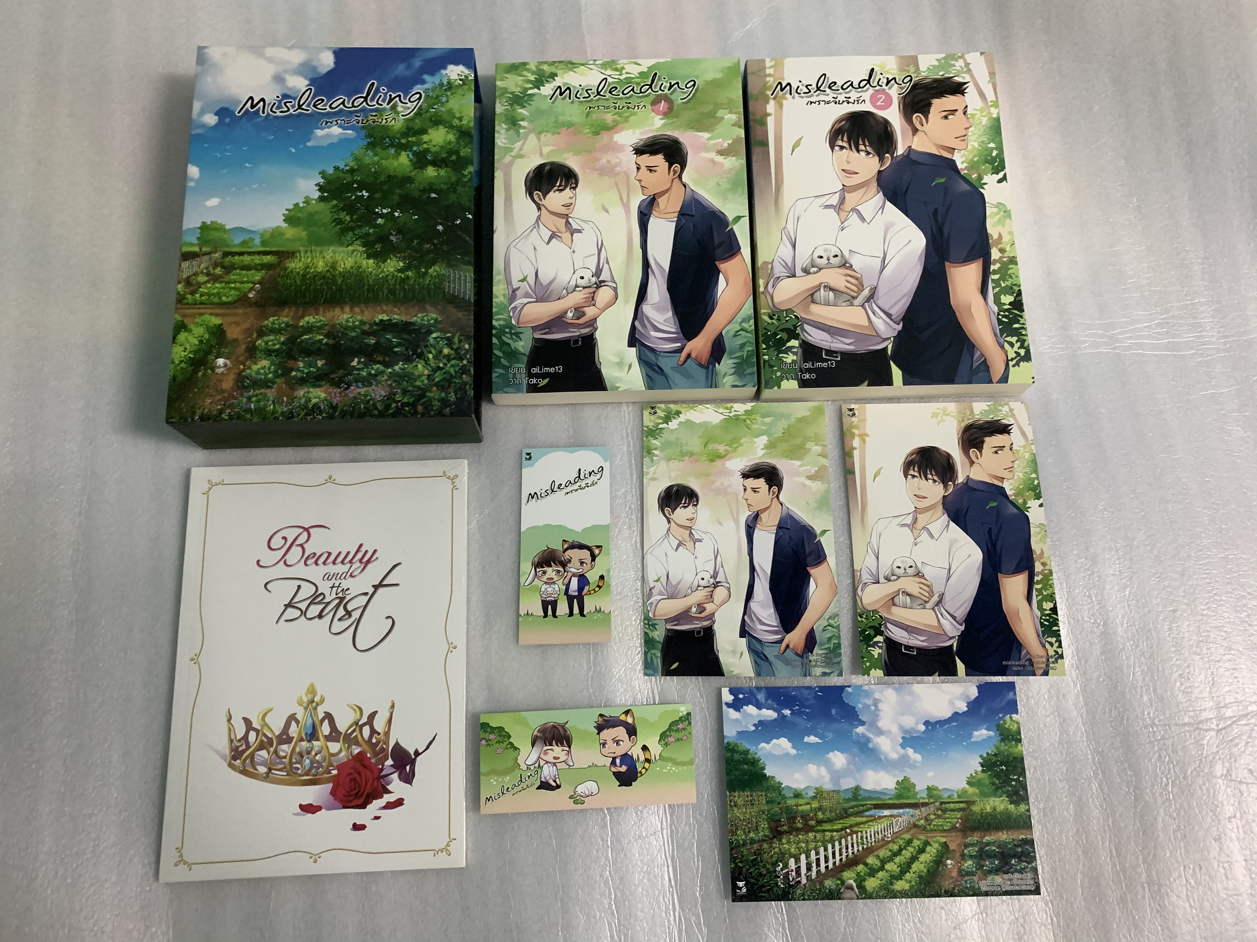 Boxset Misleading เพราะจีบจึงรัก