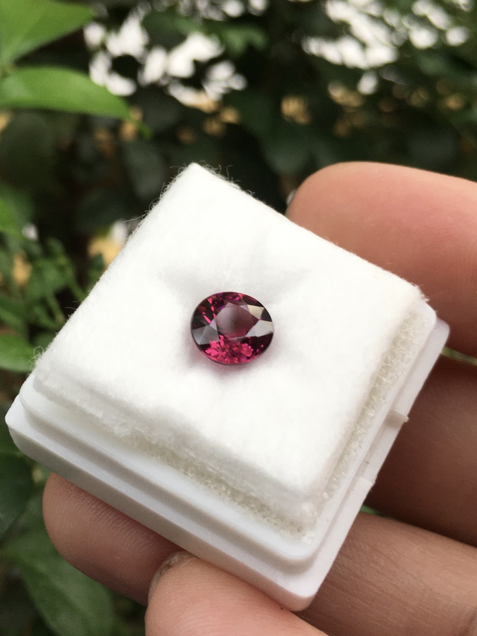 RHODOLITE โรโดไลท์ แท้ 1.61 กะรัต พลอยดิบสีม่วงจัด สวยลึก มีเสน่ห์มากๆค่ะ