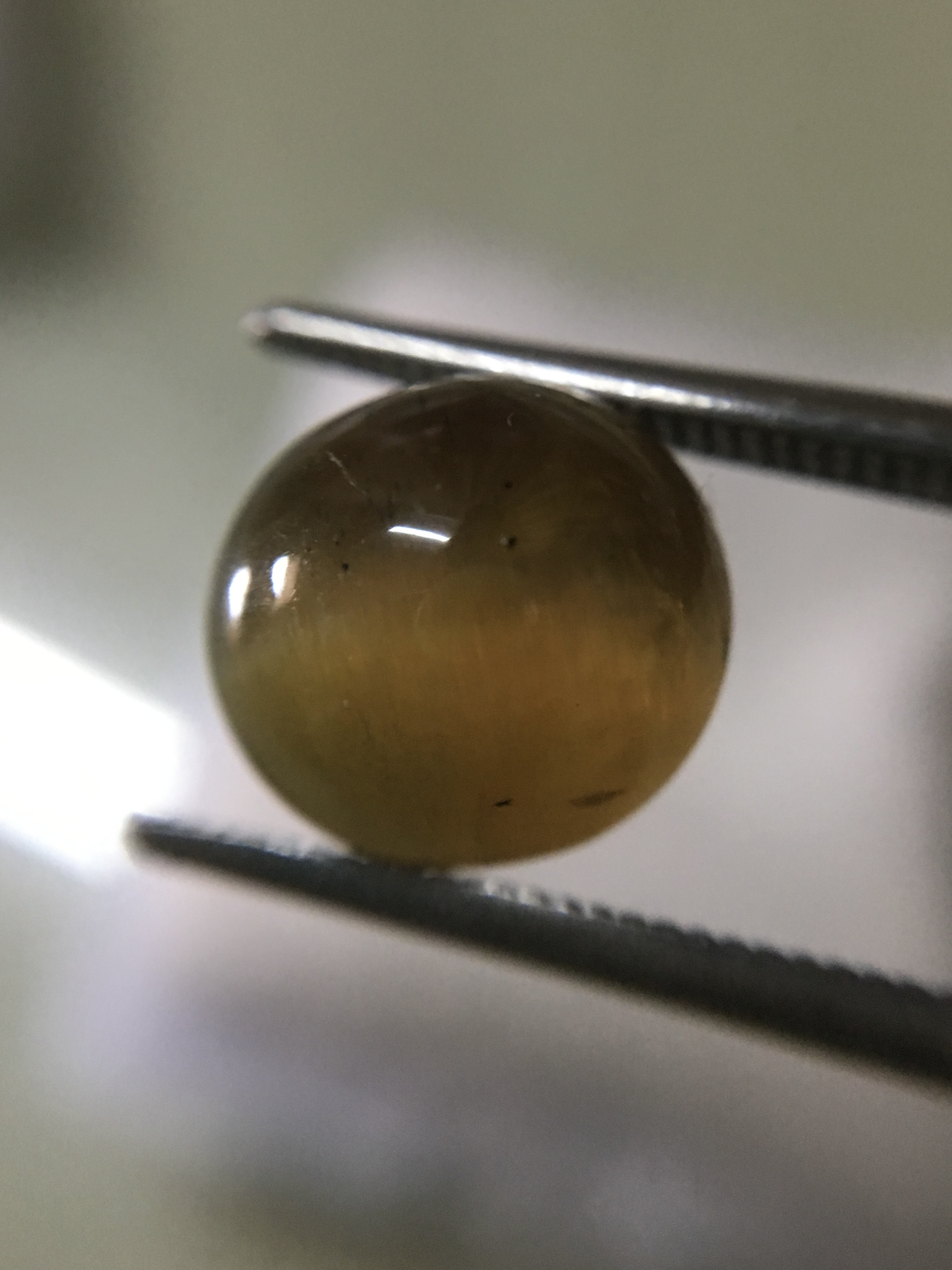 APATITE CAT’S EYE พลอยตาแมวแท้ 3.2 กะรัต เนื้อดี ตาคม พลอยดิบ สวยคัดให้แล้วจ้า