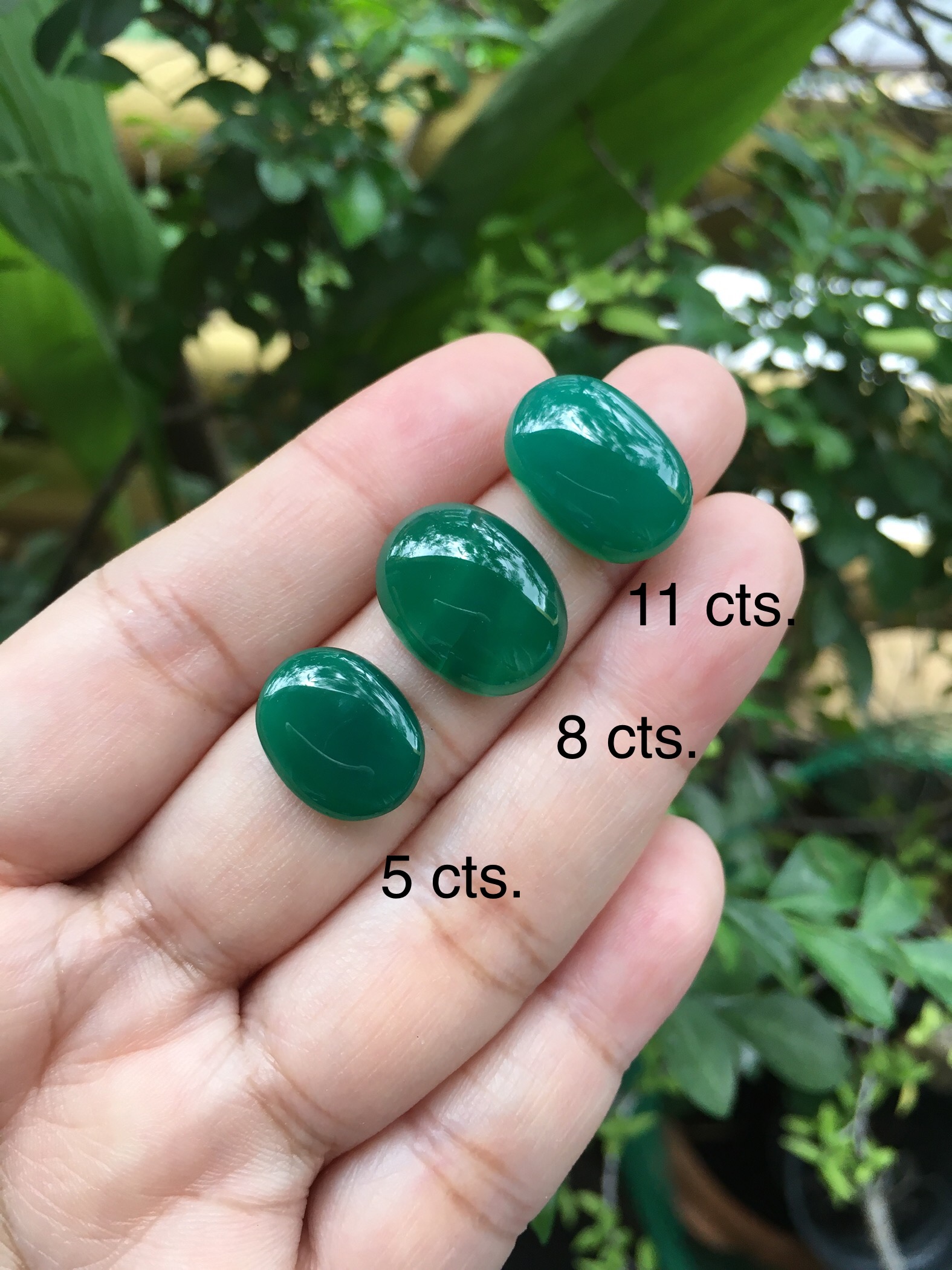 (เริ่มต้น 390 ) GREEN AGATE โมราแท้ ทรงไข่ เม็ดโต สีเขียวเข้มสวย คละสีคละไซส์