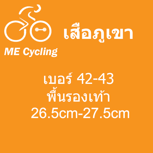 เสือภูเขา เบอร์ 42-43