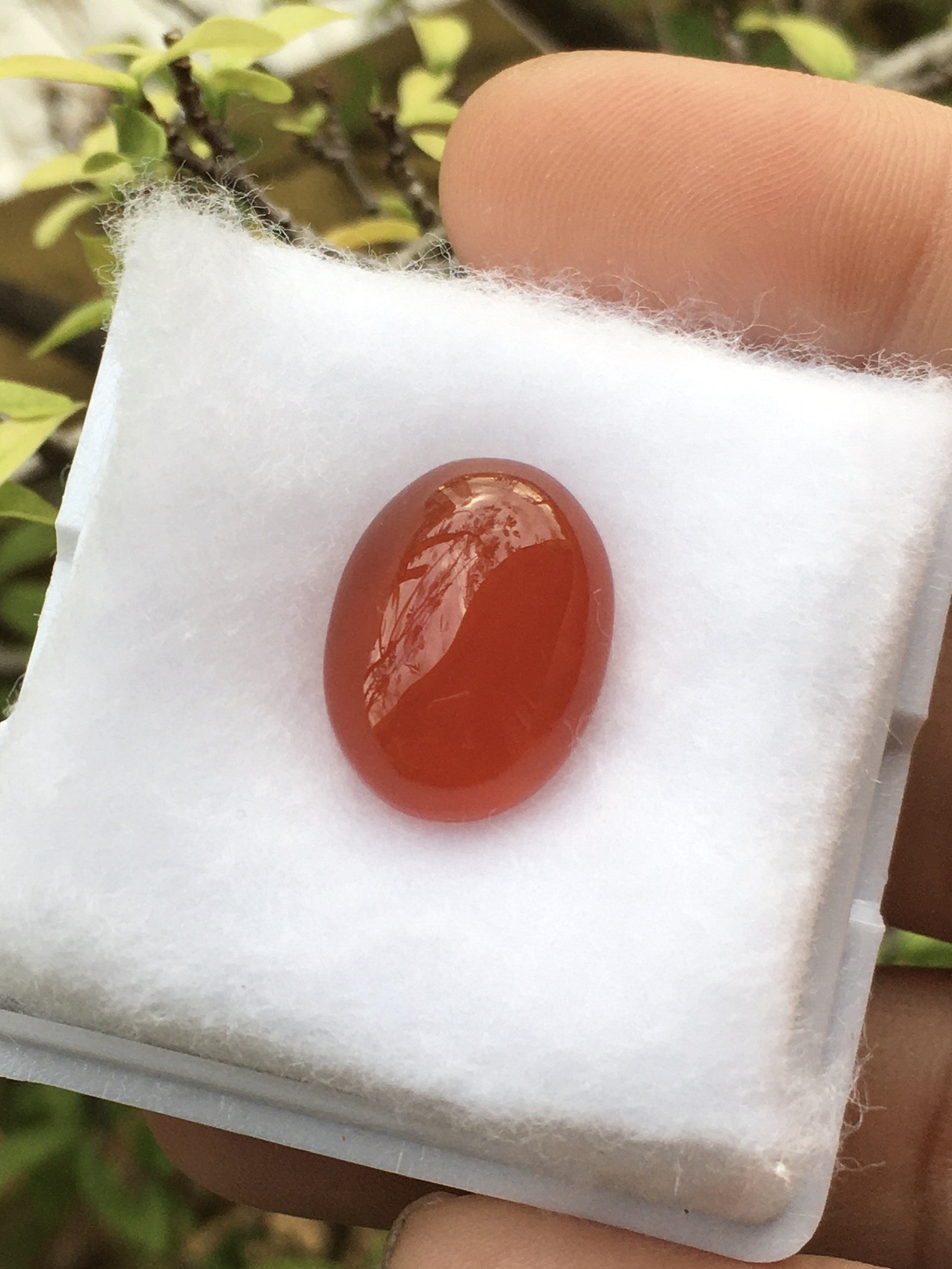 RED AGATE โมราแดง 8.8 กะรัตหินแท้เนื้อเนียนสวย สีสดฉ่ำ