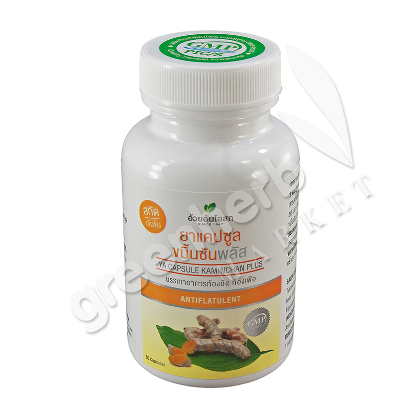 YA Capsule Kaminchan plus