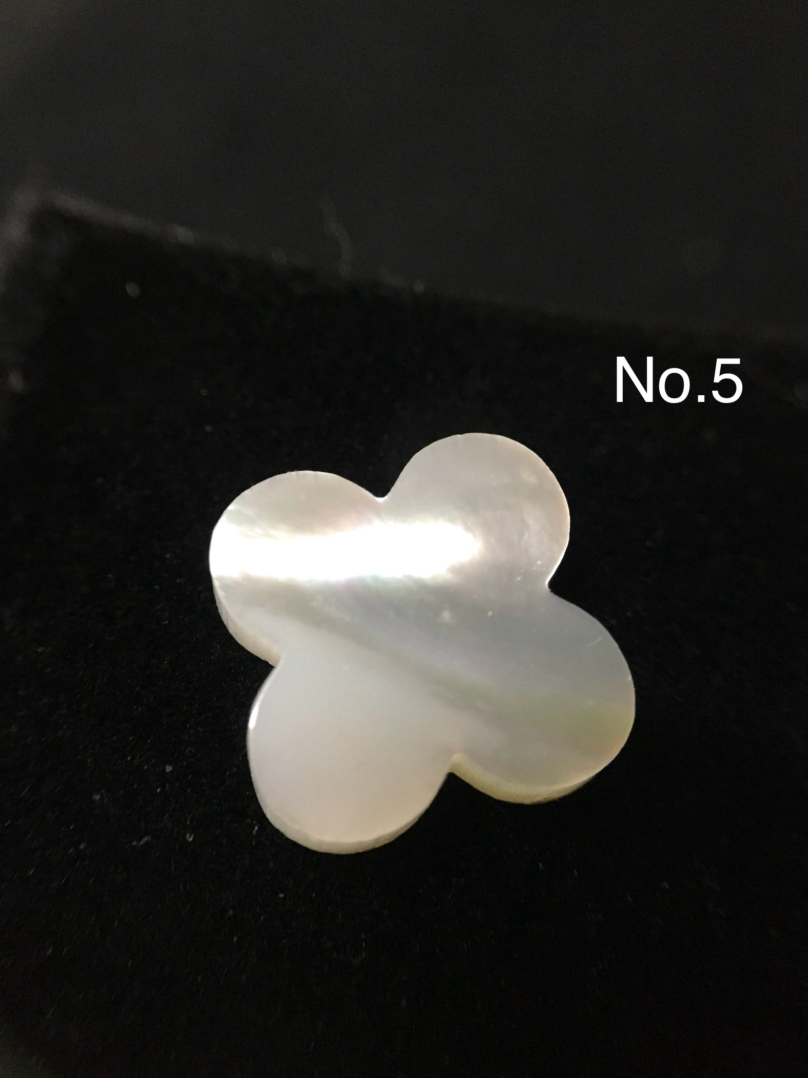 (199 ทุกเซต ) เปลือกหอยมุก คละเชฟ เนื้อขาว เหลือบรุ้งสวย ทำเครื่องประดับไซส์เล็กๆ น่าร้าก