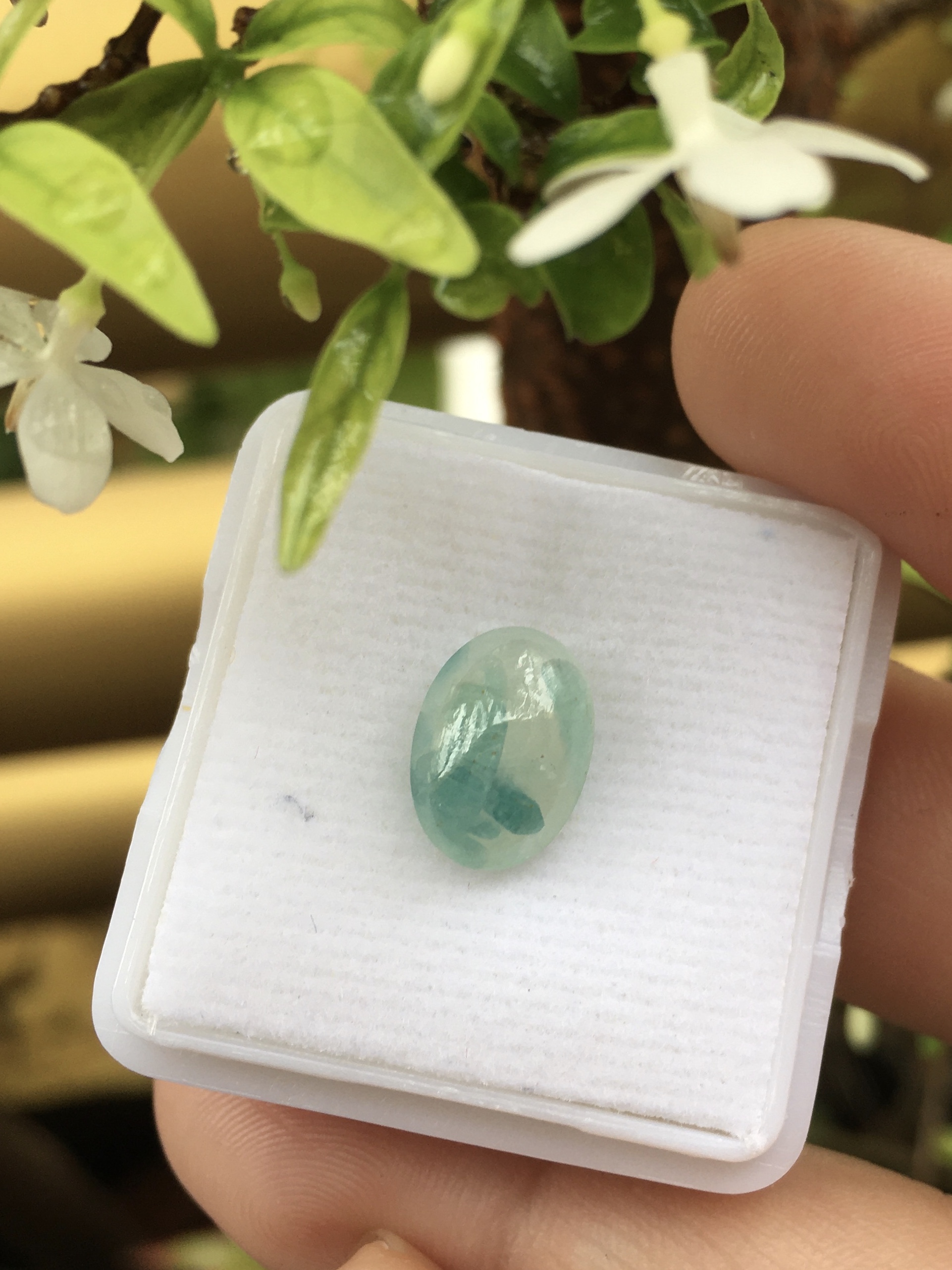 GRANDIDIERITE พลอยแท้ 2.68 กะรัต ทรงไข่ พลอยหายาก สีเขียวอมน้ำเงิน สวยแปลก น่าสะสม