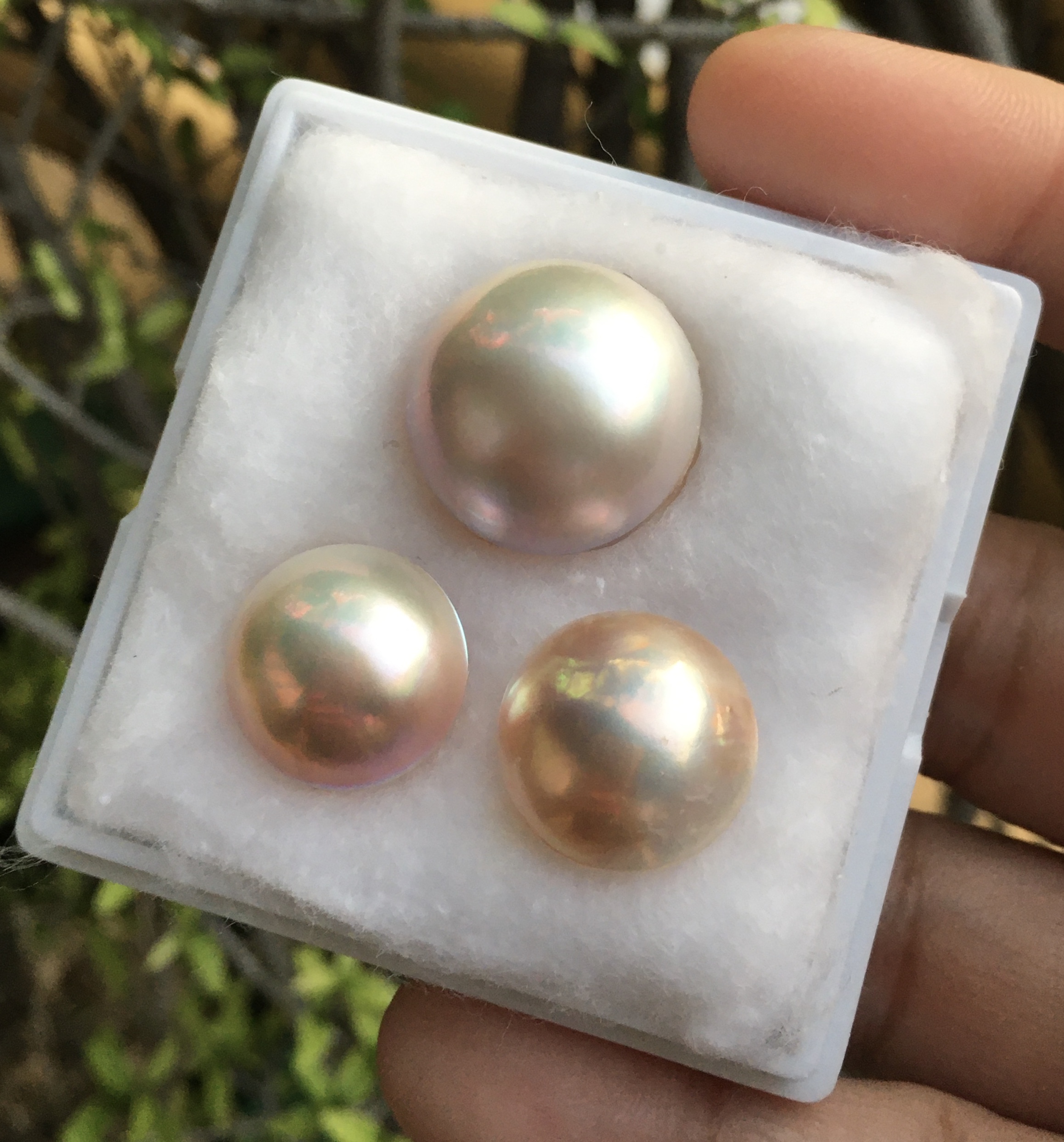 (มาใหม่ค่ะ) มุกแท้ ซาลาเปา สีพิ๊งค์โกลด์เหลือบรุ้ง ไซส์ใหญ่จัดเซตหูแหวน สวยหวานม๊าก