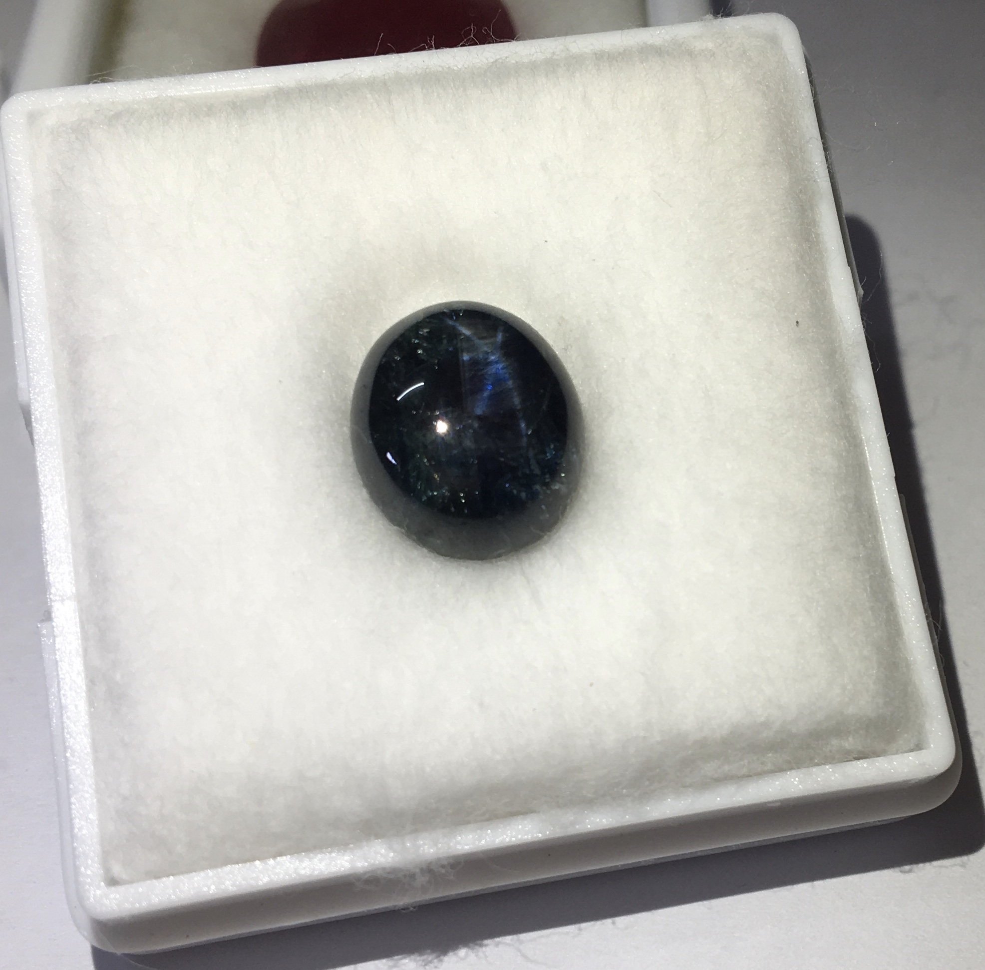 (พลอยแท้) พลอยสตาร์ แซฟไฟร์ ไพลินสตาร์ พลอยแท้ สวยแปลก สำหรับนักสะสม ไม่พอใจยินดีคืนเงิน