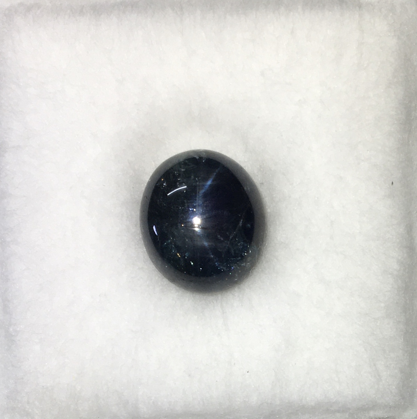 (พลอยแท้) พลอยสตาร์ แซฟไฟร์ ไพลินสตาร์ พลอยแท้ สวยแปลก สำหรับนักสะสม ไม่พอใจยินดีคืนเงิน