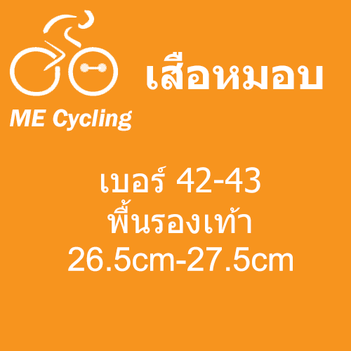 เสือหมอบ เบอร์ 42-43