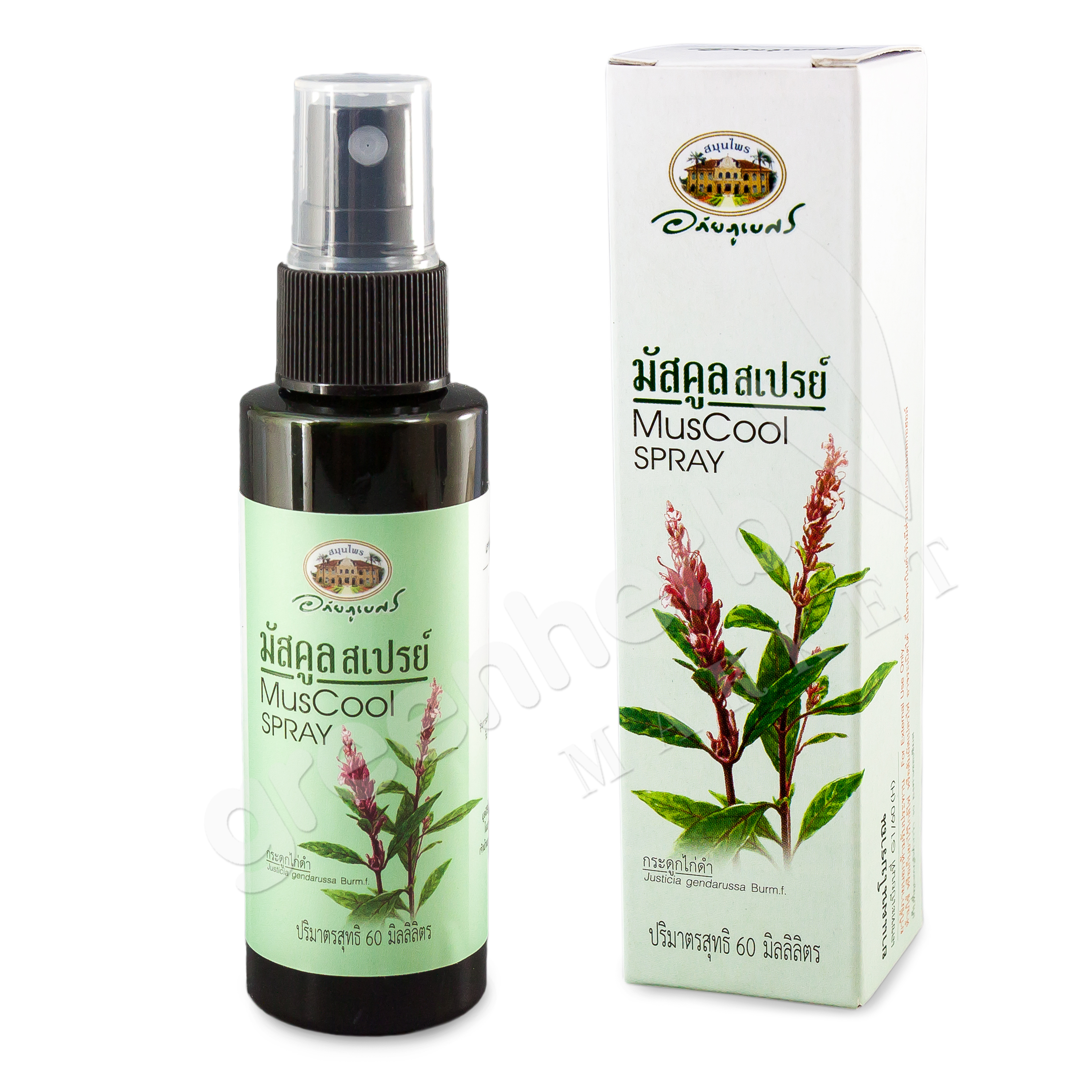MusCool Spray - Abhaiherb