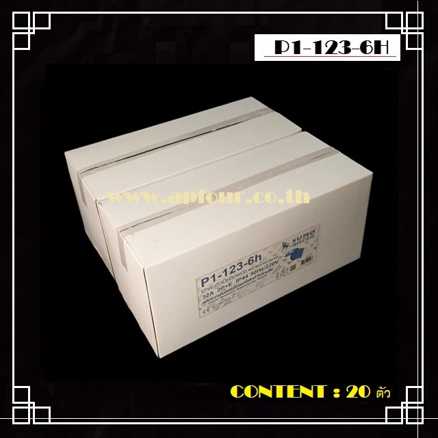 ปลั๊กไฟ เพาเวอร์ 32A 2สาย 3ขา แบบตัวเมียติดผนัง รุ่น P1-123-6h