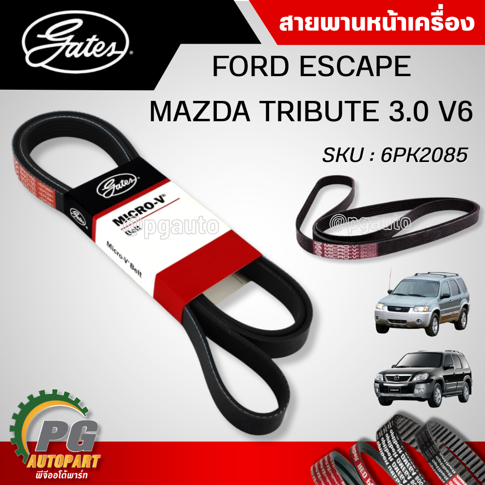 สายพานหน้าเครื่อง FORD ESCAPE,MAZDA TRIBUTE 3.0 V6 (1ชิ้น) (รูปจริง) /GATES