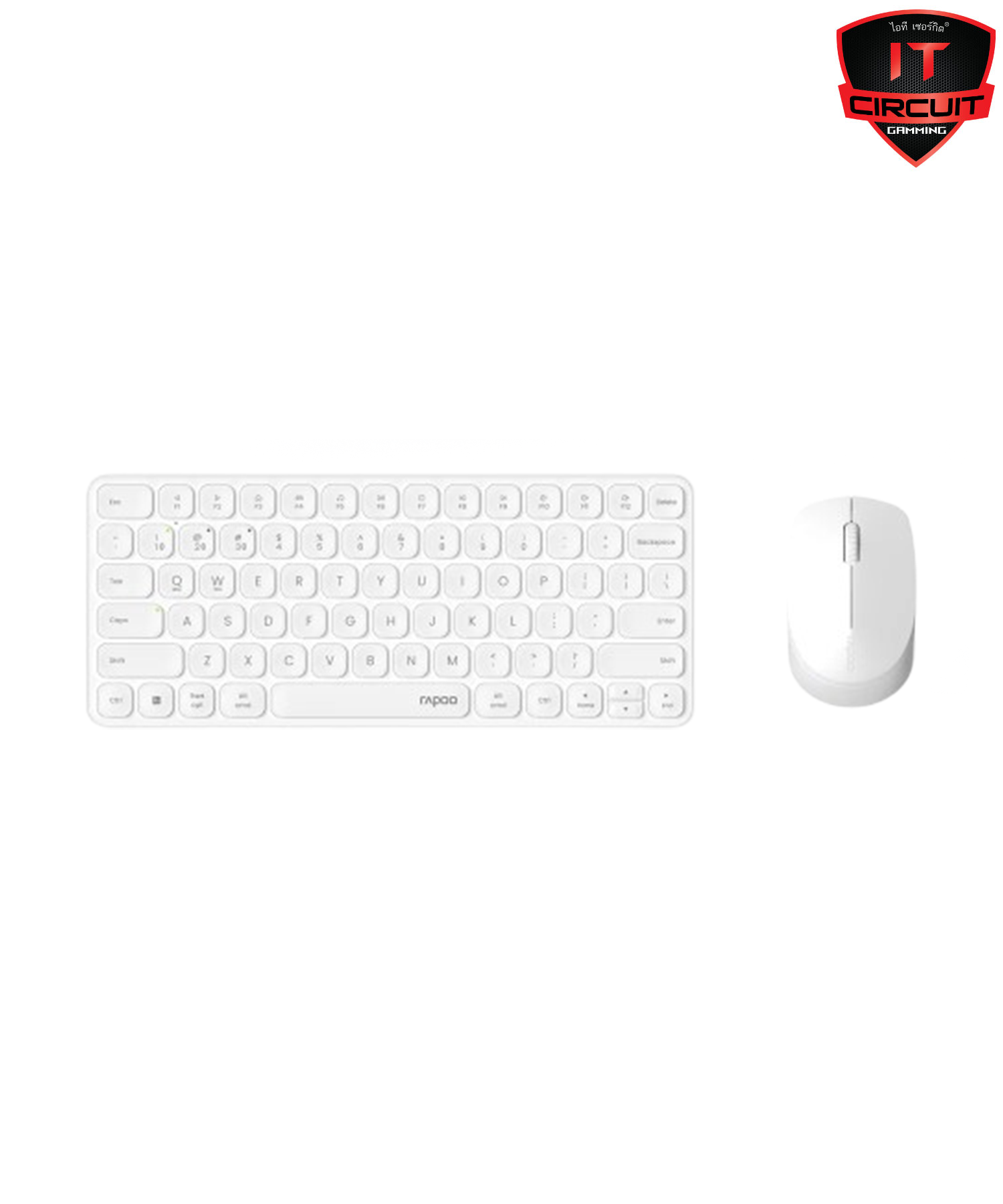 2IN1 MULTI MODE RAPOO 9010M-WH WHITE