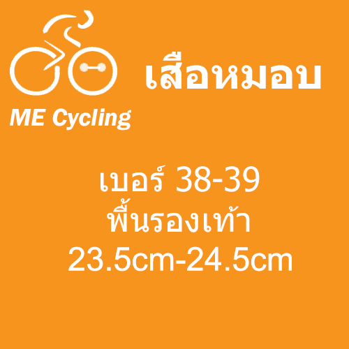 เสือหมอบ เบอร์ 38-39