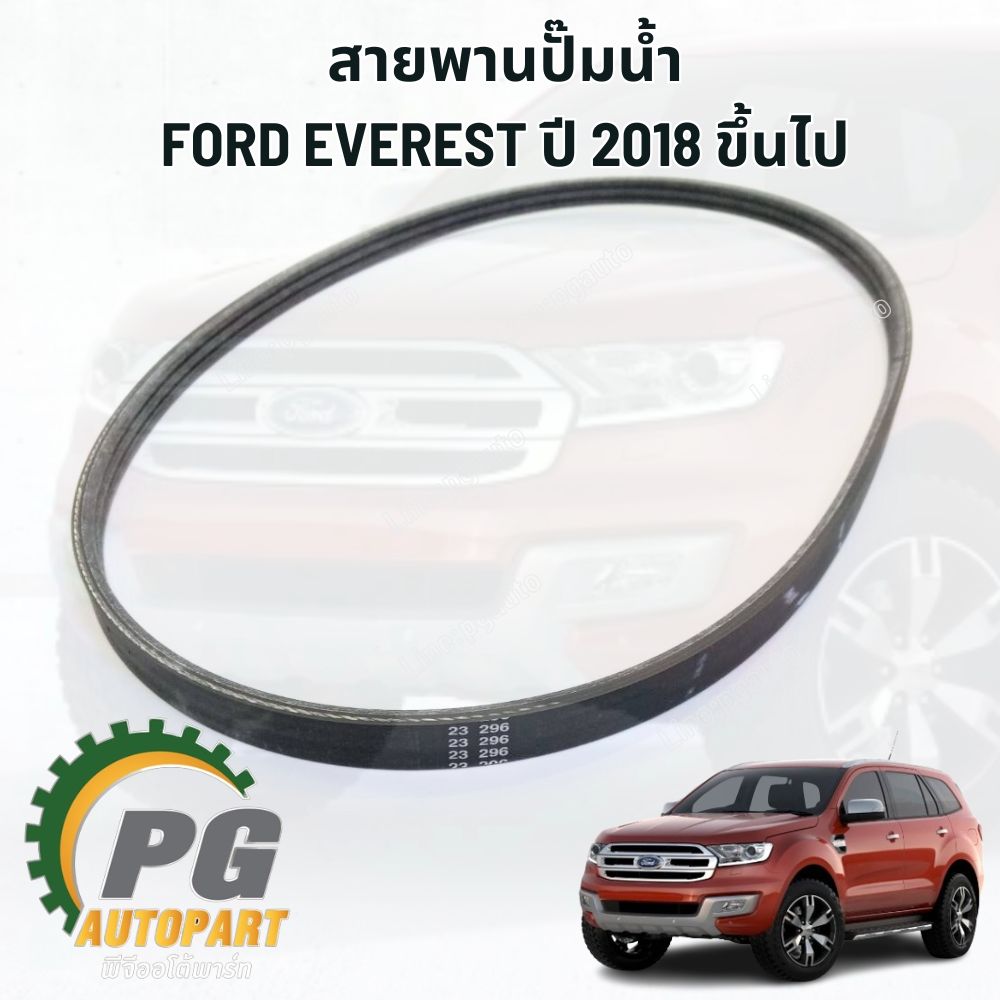สายพานปั๊มน้ำ FORD EVEREST 2.0 L ปี 2018 ขึ้นไป (1เส้น) / แท้