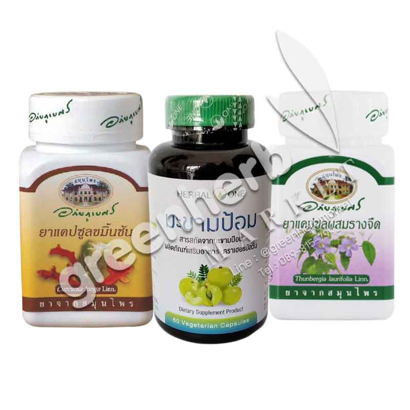 (ราคาพิเศษ) ชุดเสริมภูมิคุ้มกัน สู้ฝุ่น PM 2.5 ชุด B