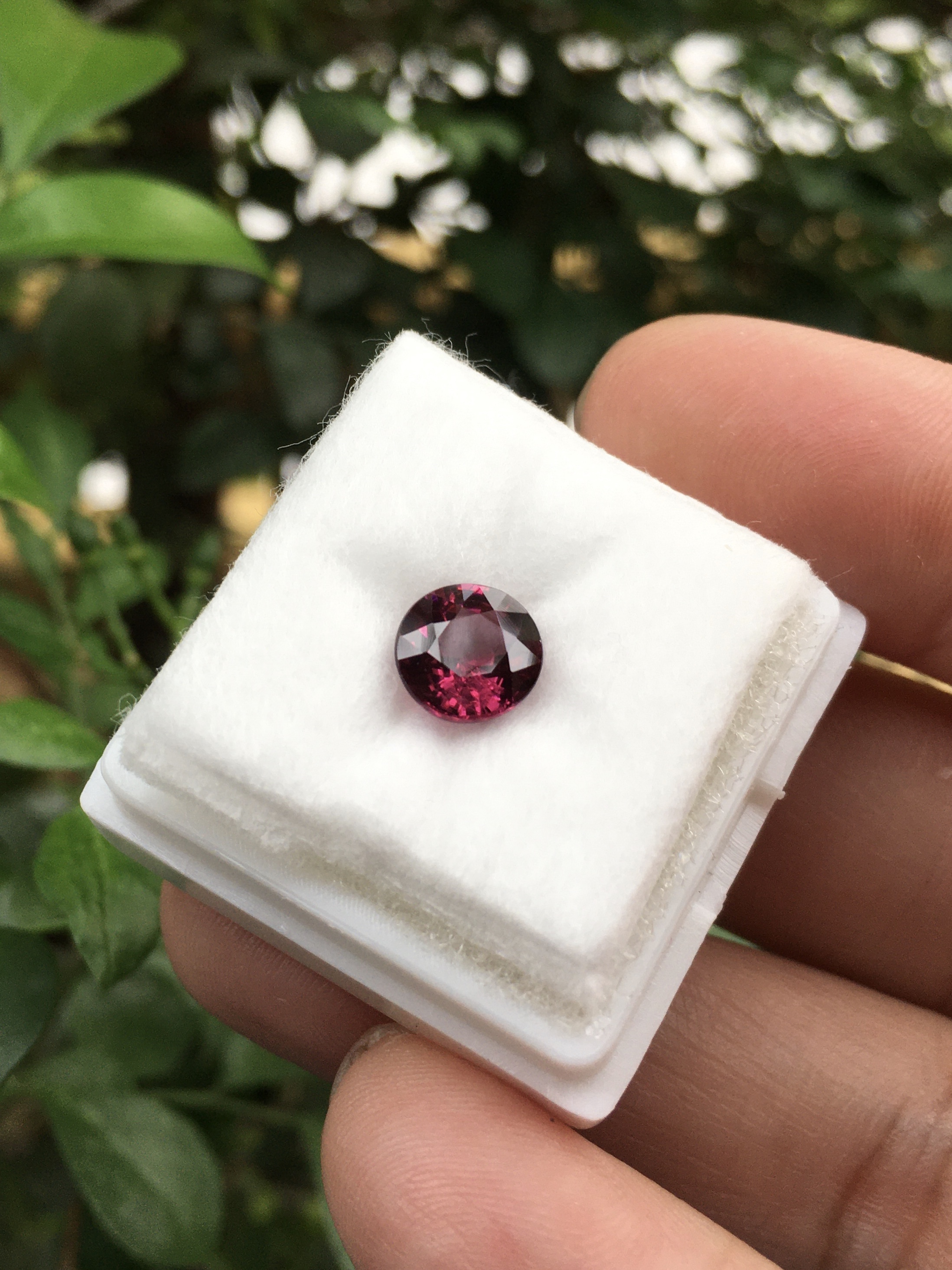 RHODOLITE โรโดไลท์ แท้ 1.61 กะรัต พลอยดิบสีม่วงจัด สวยลึก มีเสน่ห์มากๆค่ะ
