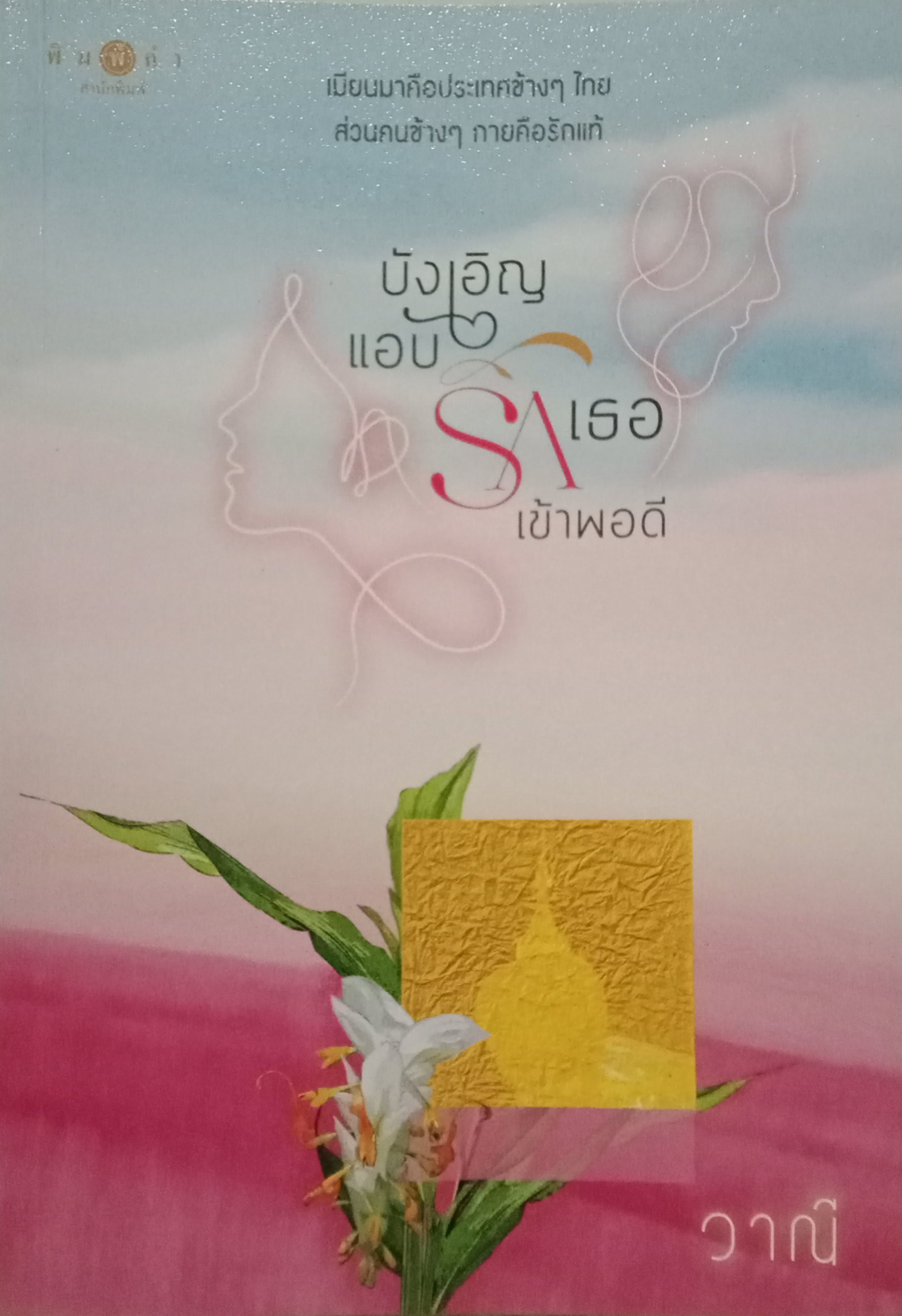 บังเอิญแอบรักเธอเข้าพอดี / วาณี / พิมพ์คำ / ปก 260 บาท