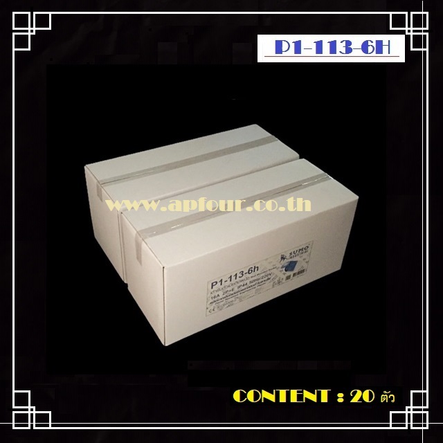 ปลั๊กไฟ เพาเวอร์ 16A 2สาย 3ขา แบบตัวเมียติดผนัง รุ่น P1-113-6h