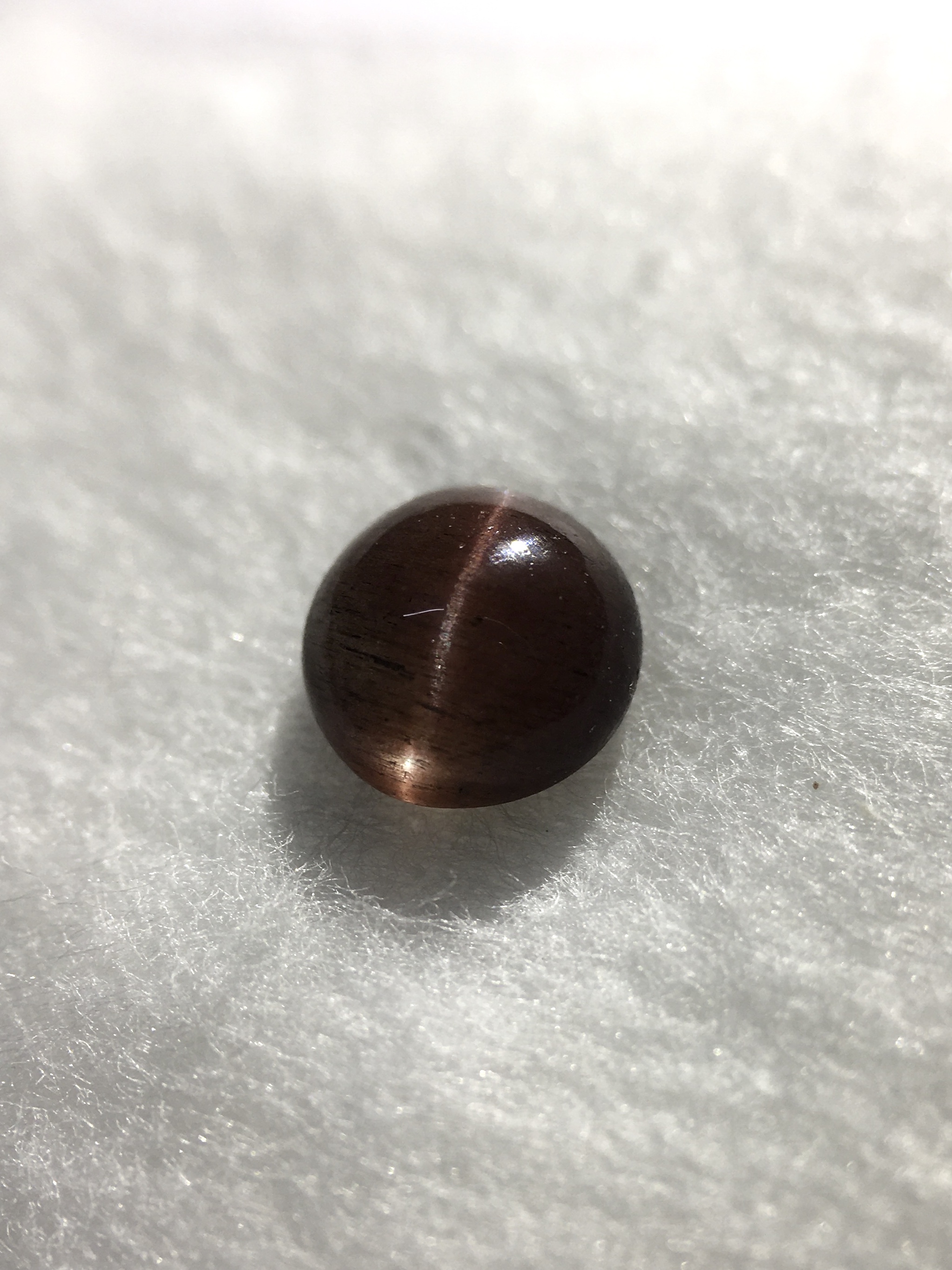 CAT’S EYE SCAPOLITE พลอยตาแมว 0.49 กะรัต พลอยแท้ตาแมวสวยคม สว่าง ไซส์เล็กๆน่ารัก มินิมอลมินิใจ