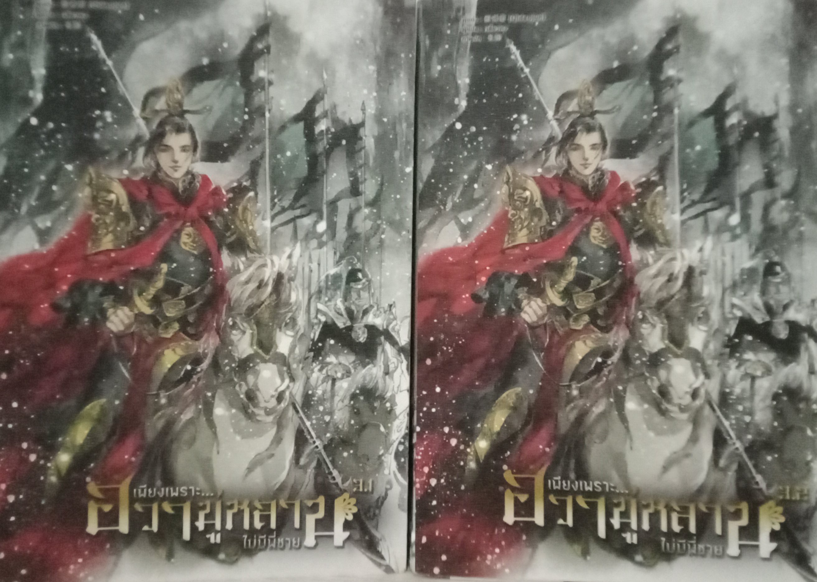 เพียงเพราะฮวามู่หลานไม่มีพี่ชาย เล่ม 3.1+3.2 (8 เล่มหลักจบ) / Qidaojun / เสี่ยวหง (แปล) / หอมหมื่นลี้ (B2S) / ปก 699 บาท