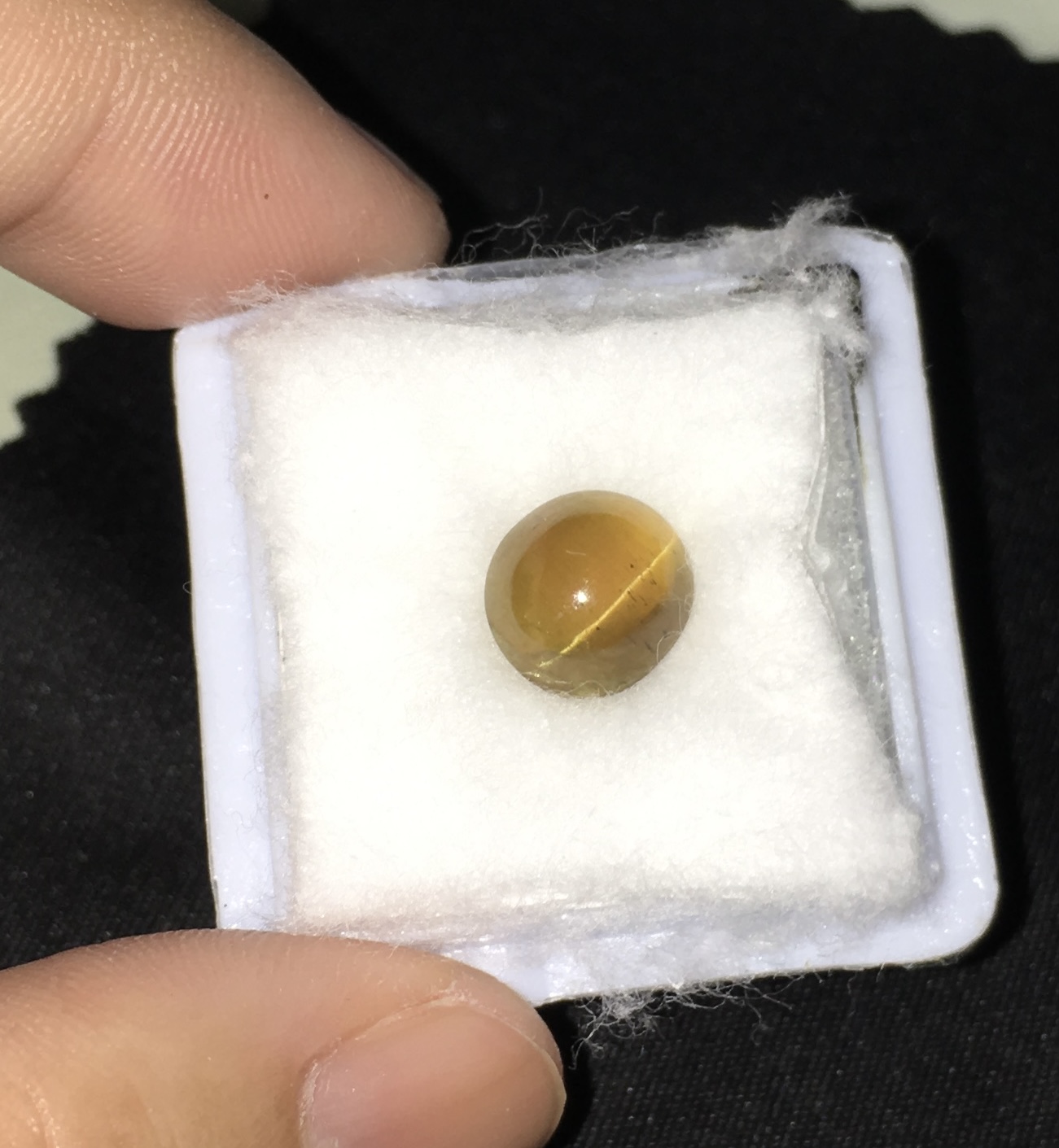 APATITE CAT’S EYE พลอยตาแมวแท้ 3.2 กะรัต เนื้อดี ตาคม พลอยดิบ สวยคัดให้แล้วจ้า