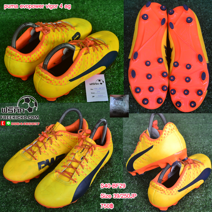 สตั๊ด เบอร์ 40-40.5 / 250-255JP