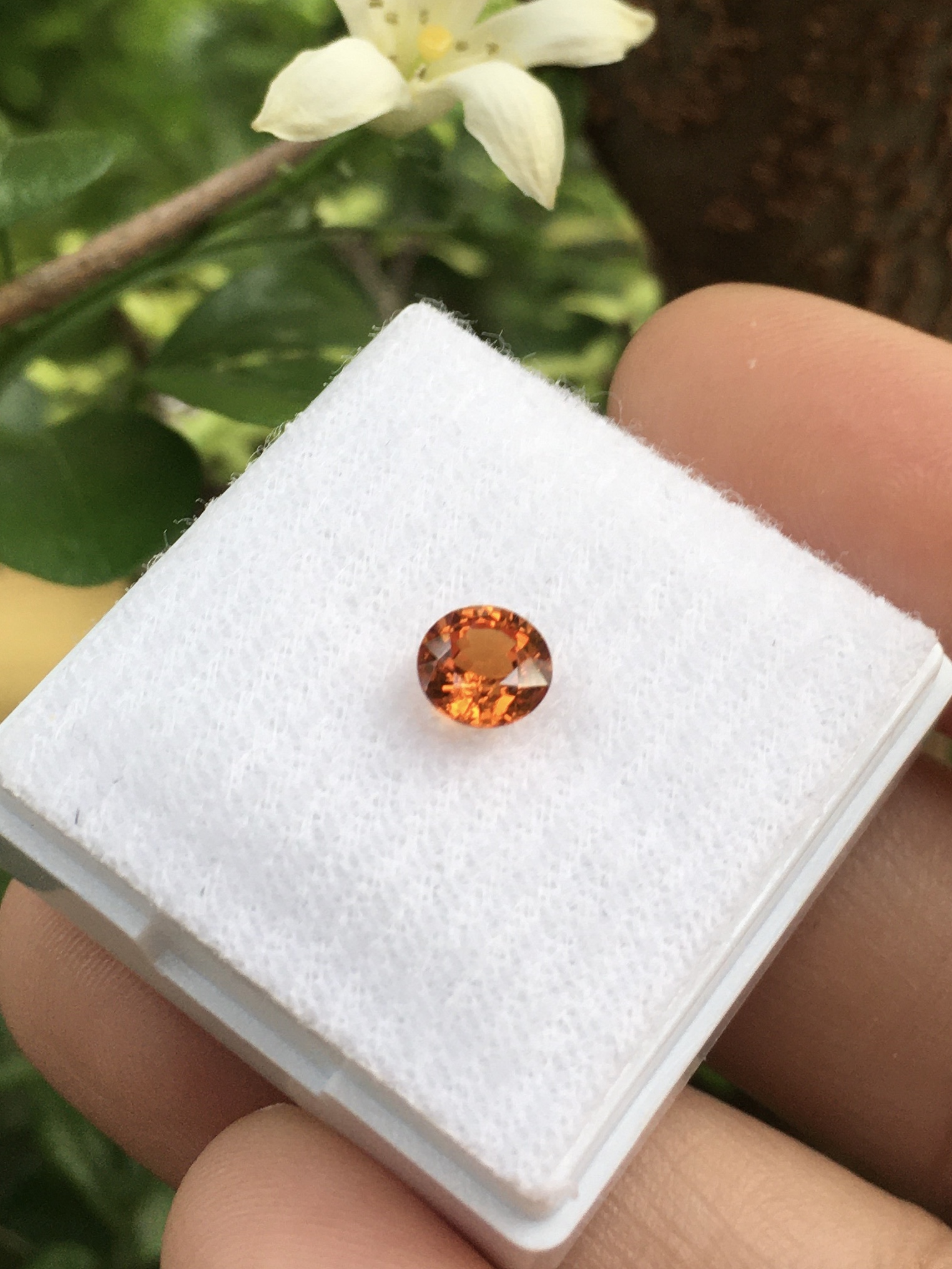 SPESSARTITE สเปซซาไทต์แท้ 0.80 กะรัต พลอยดิบ ธรรมชาติ เนื้อสะอาดใส ไฟดีม๊ากกก สีส้มสดสวย