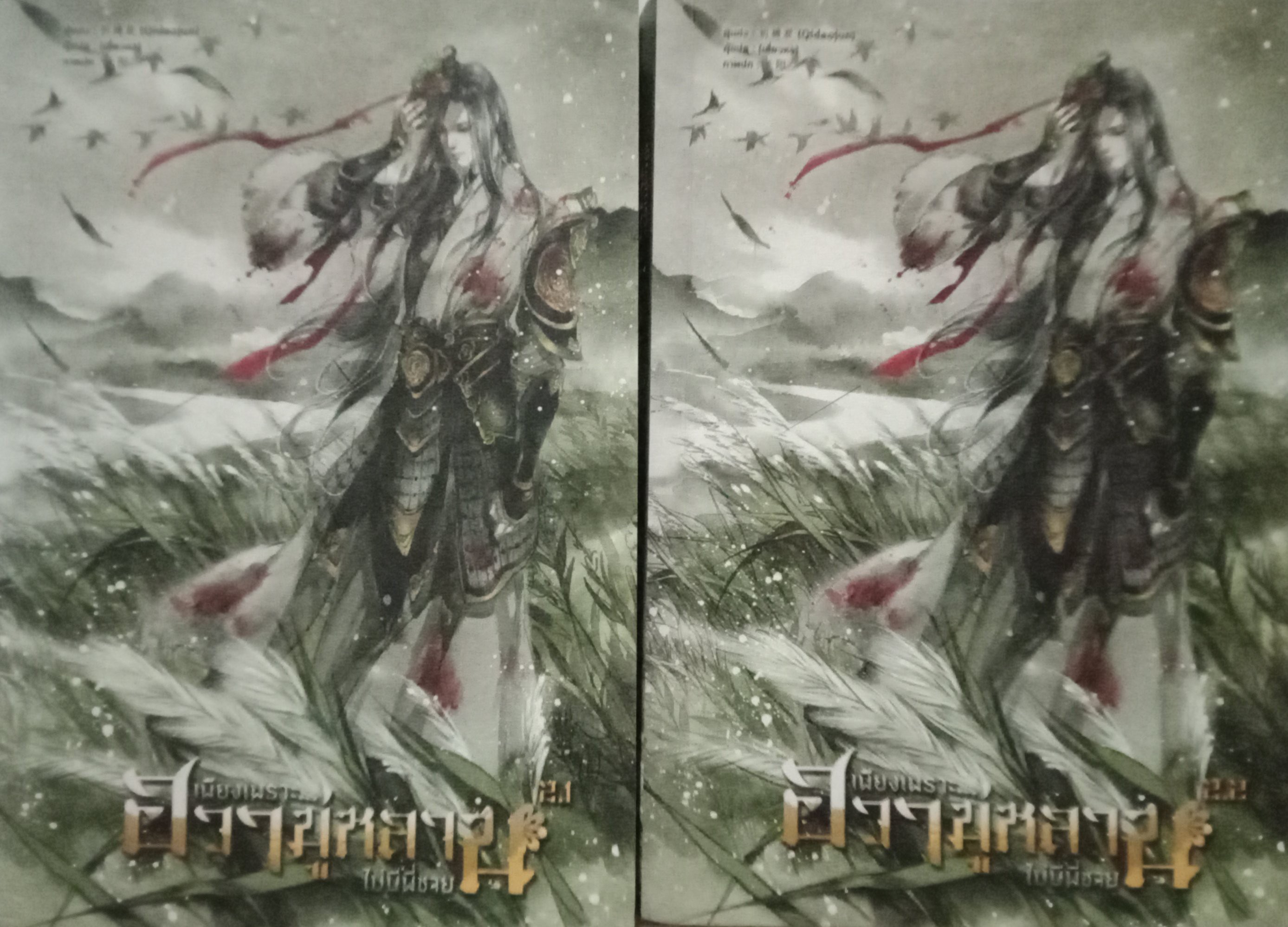 เพียงเพราะฮวามู่หลานไม่มีพี่ชาย เล่ม 2.1+2.2 (8 เล่มหลักจบ) / Qidaojun / เสี่ยวหง (แปล) / หอมหมื่นลี้ (B2S) / ปก 699 บาท