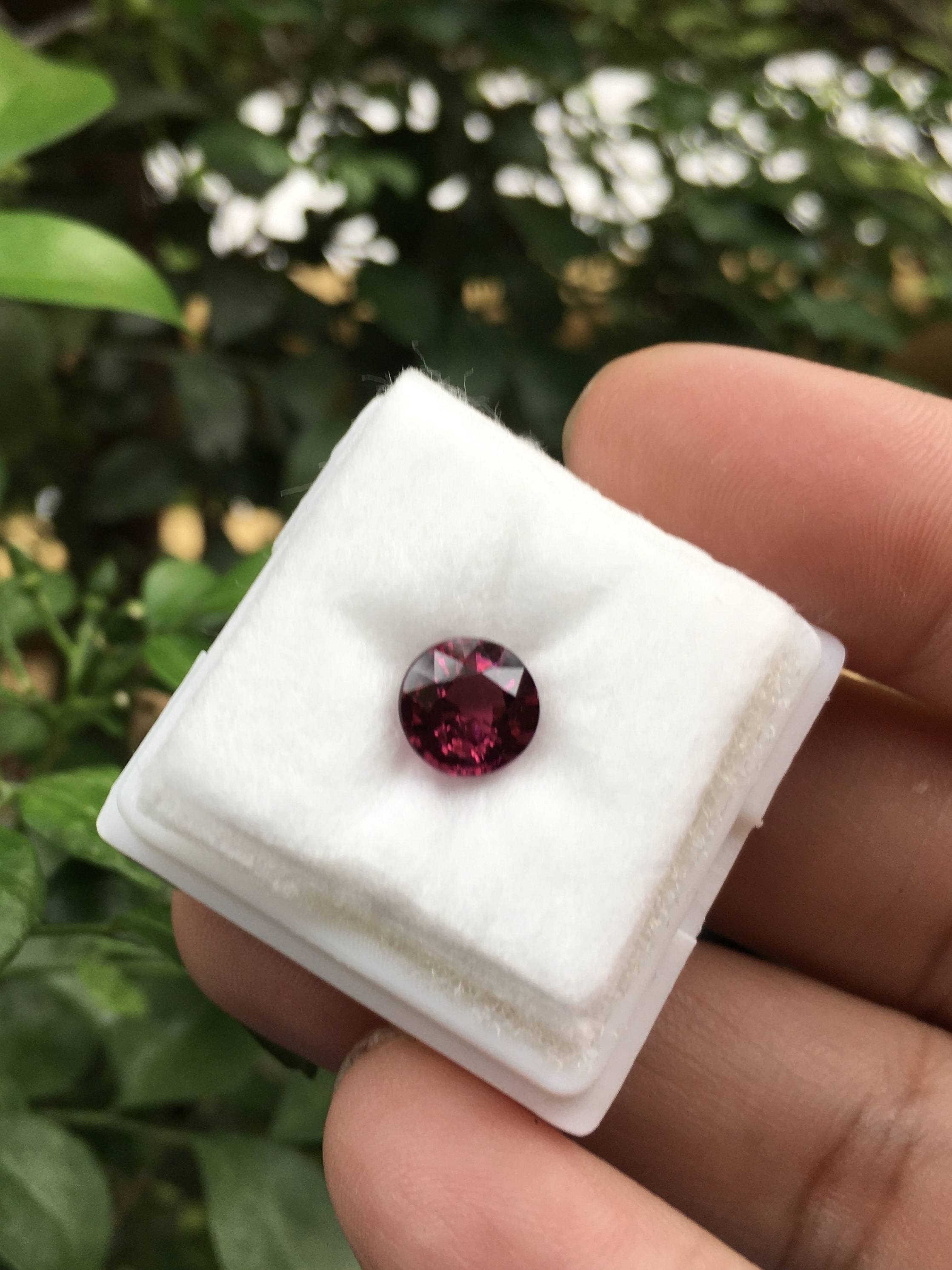 RHODOLITE โรโดไลท์ แท้ 1.61 กะรัต พลอยดิบสีม่วงจัด สวยลึก มีเสน่ห์มากๆค่ะ