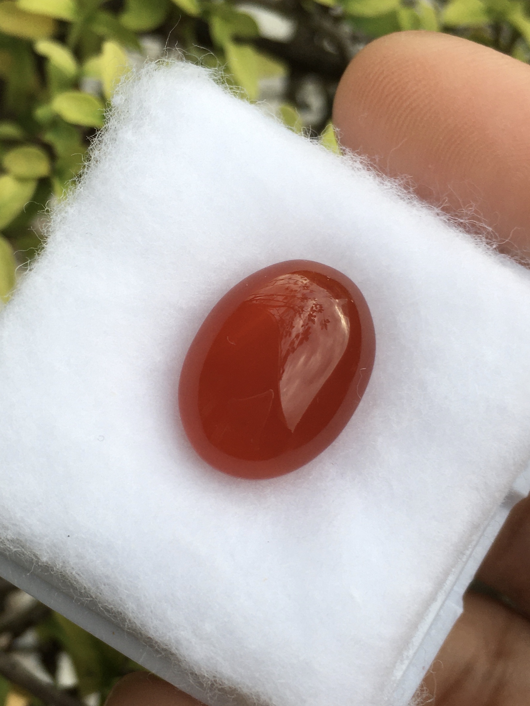 RED AGATE โมราแดง 8.8 กะรัตหินแท้เนื้อเนียนสวย สีสดฉ่ำ
