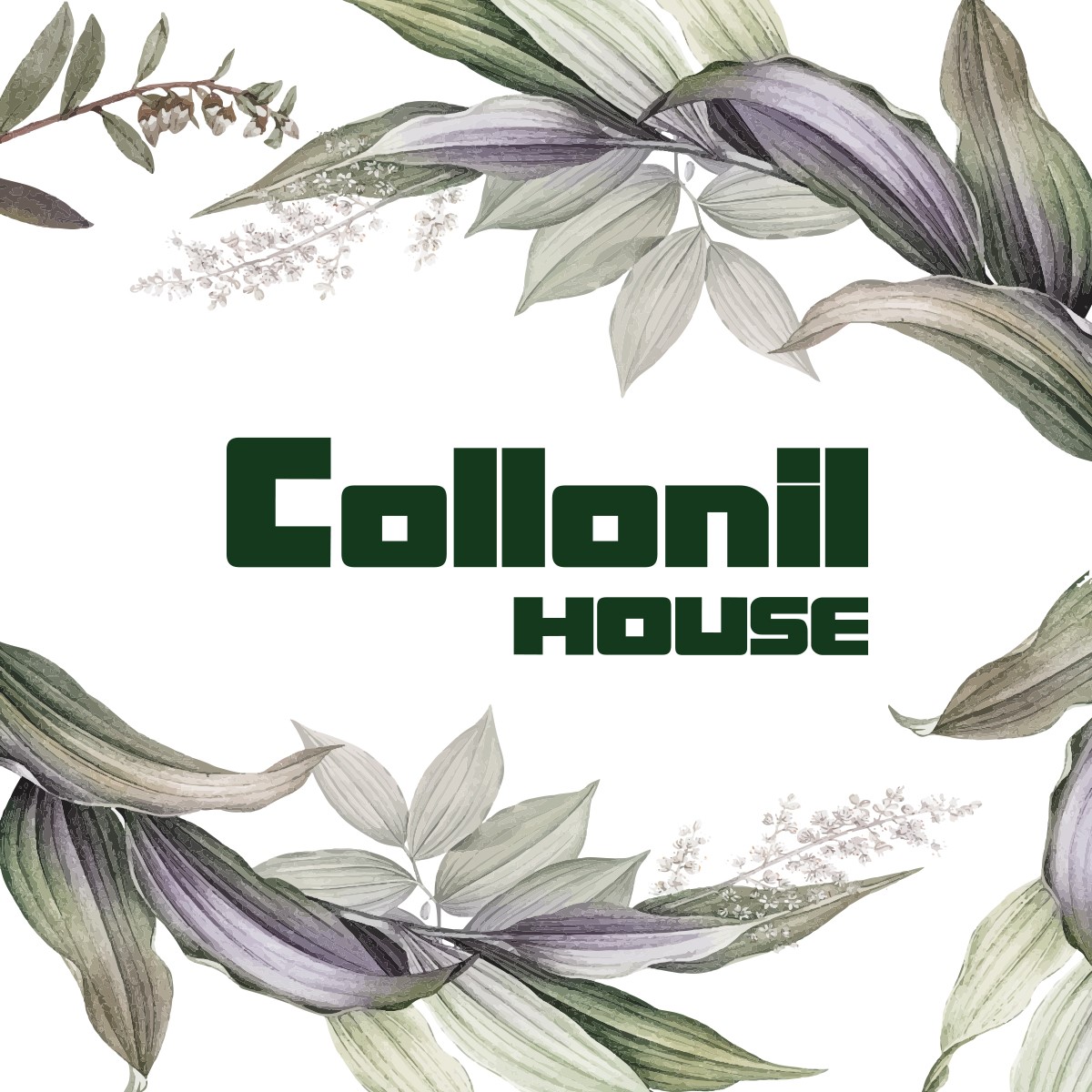 Collonil House