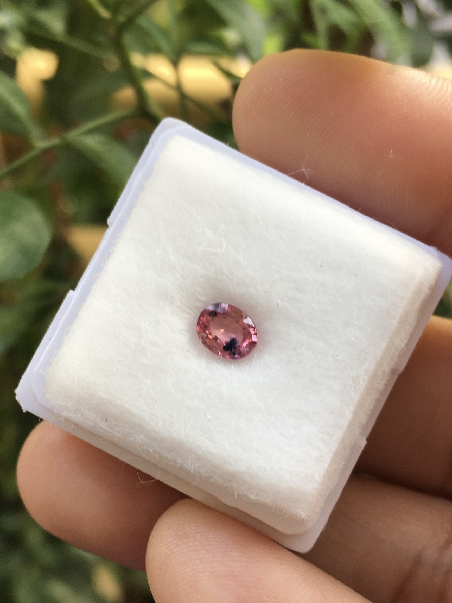 PINK SAPPHIRE พิ๊งค์แซฟไฟร์แท้ 0.54 กะรัต พลอยเนื้อใส สีสวย มีตำหนิเฉพาะตัว สำหรับสายสะสมของสวยแปลก
