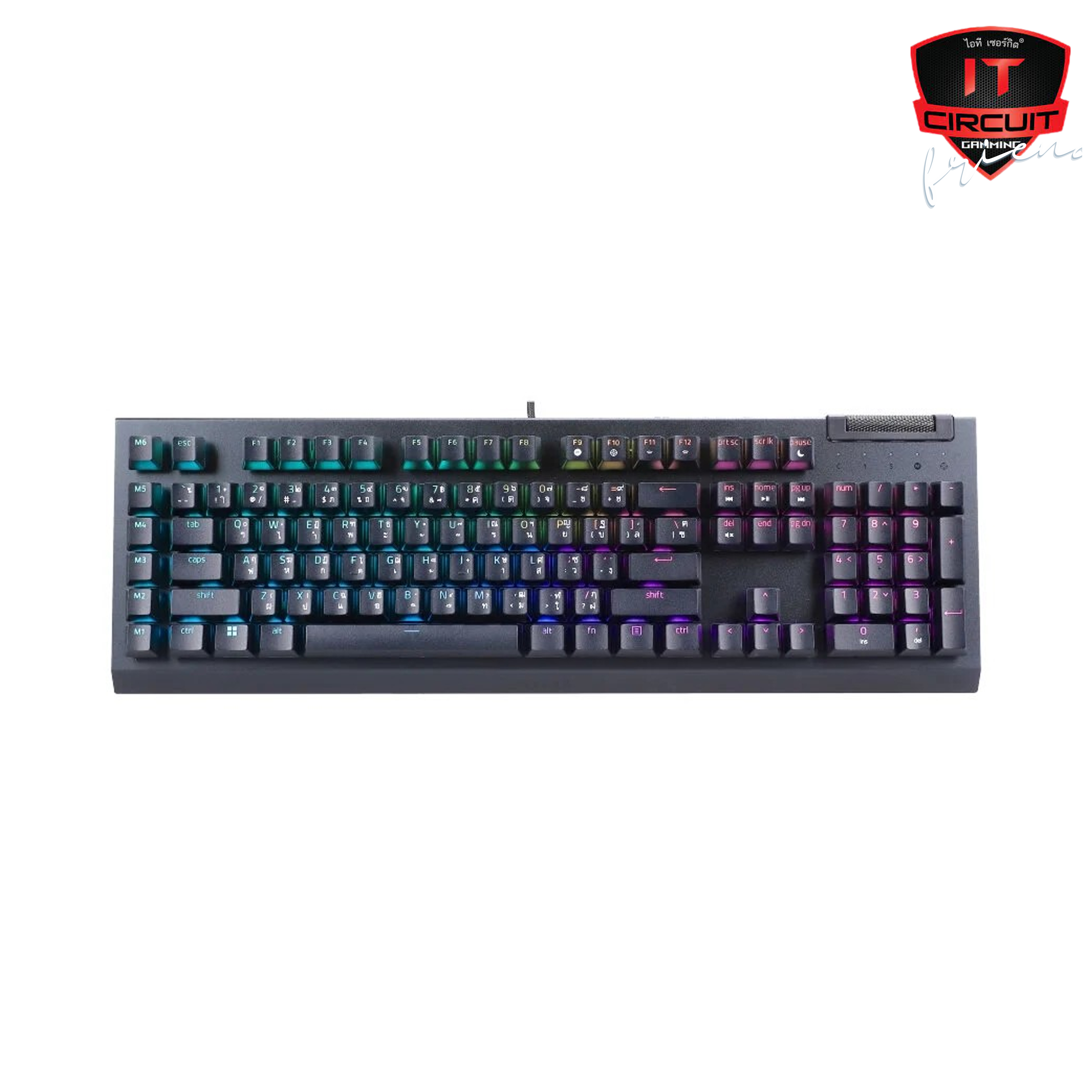 KEYBOARD (คีย์บอร์ด) RAZER BLACKWIDOW V4 X - GREEN-SWITCH