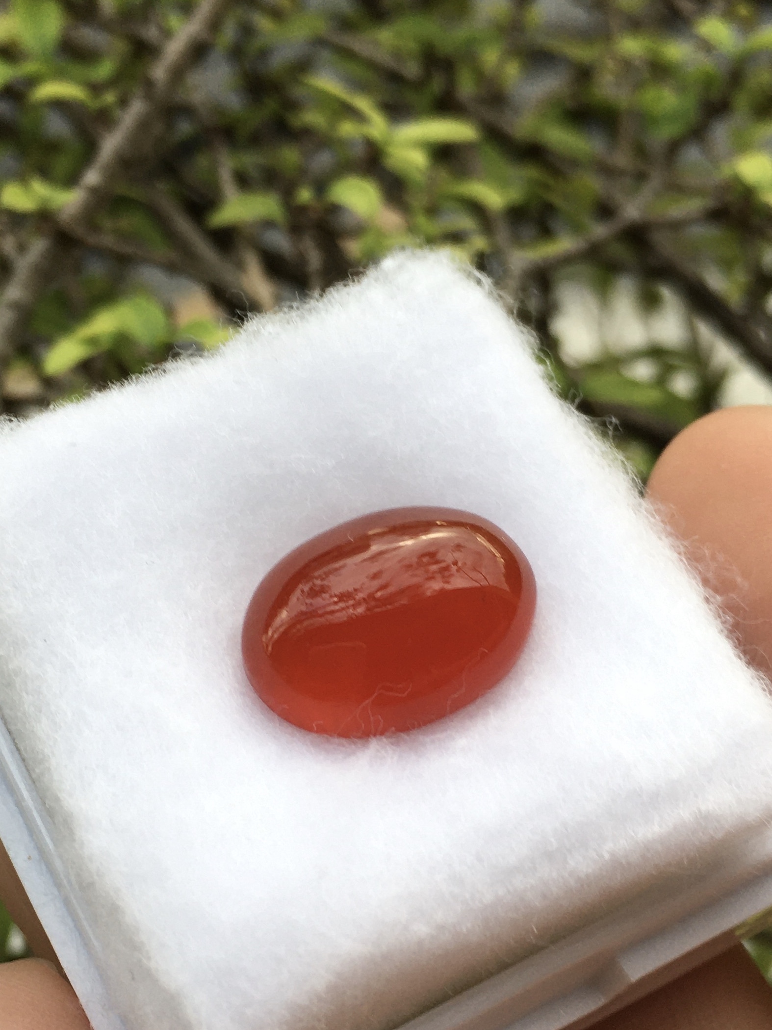 RED AGATE โมราแดง 8.8 กะรัตหินแท้เนื้อเนียนสวย สีสดฉ่ำ