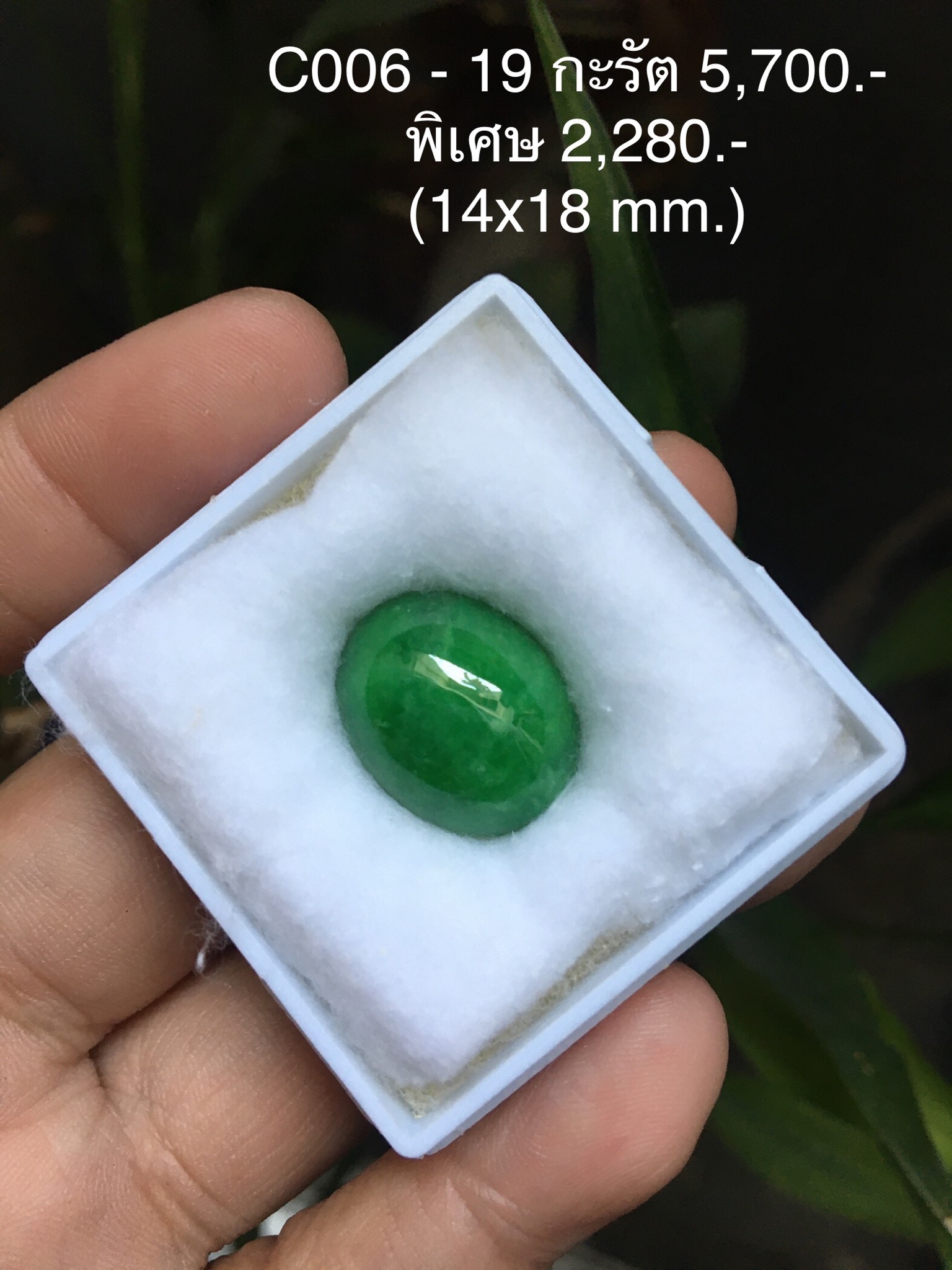 เริ่มต้น 1000) หยกแท้ พลอยเนื้อดี สีสวยๆ คละไซส์ คละสี ไม่พอใจยินดีคืนเงินค่า