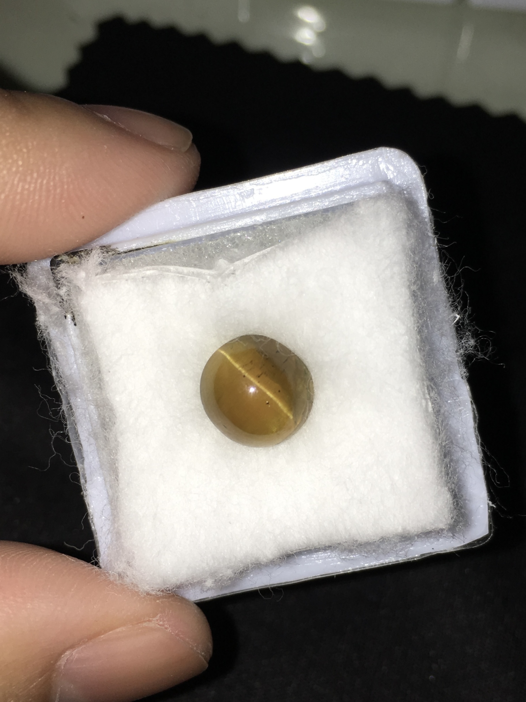 APATITE CAT’S EYE พลอยตาแมวแท้ 3.2 กะรัต เนื้อดี ตาคม พลอยดิบ สวยคัดให้แล้วจ้า